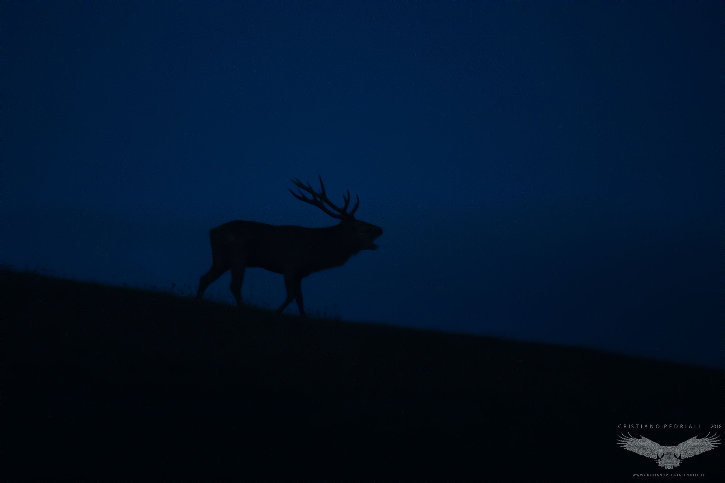 Ora blu sul crinale...