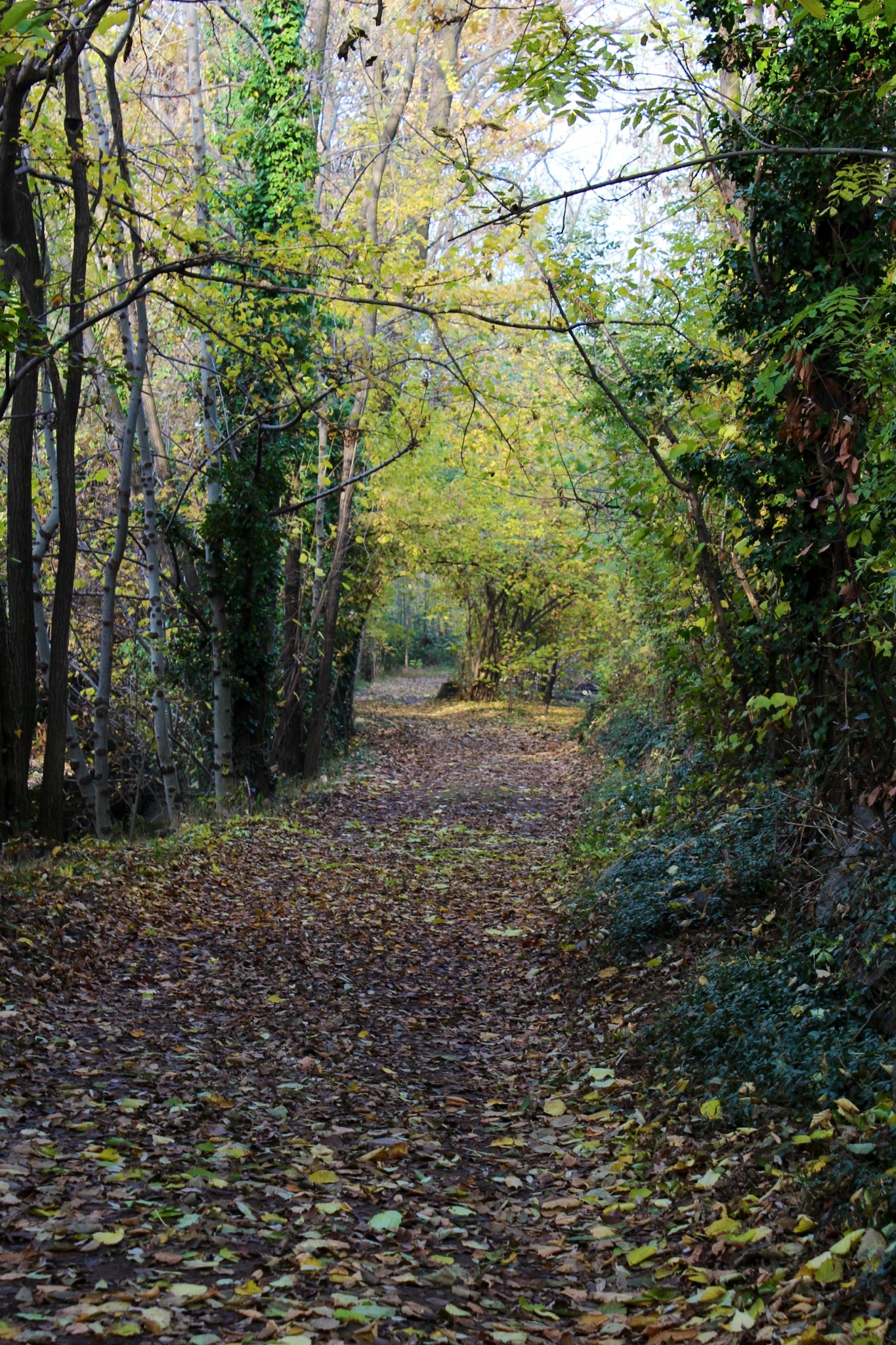La strada delle Fate