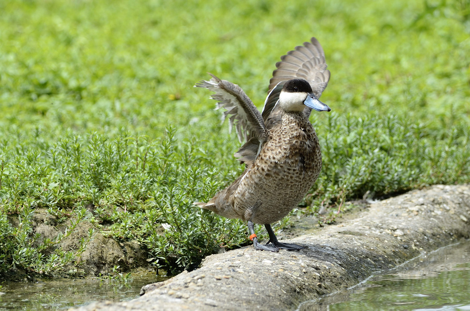 Look at me how beautiful I am! :D