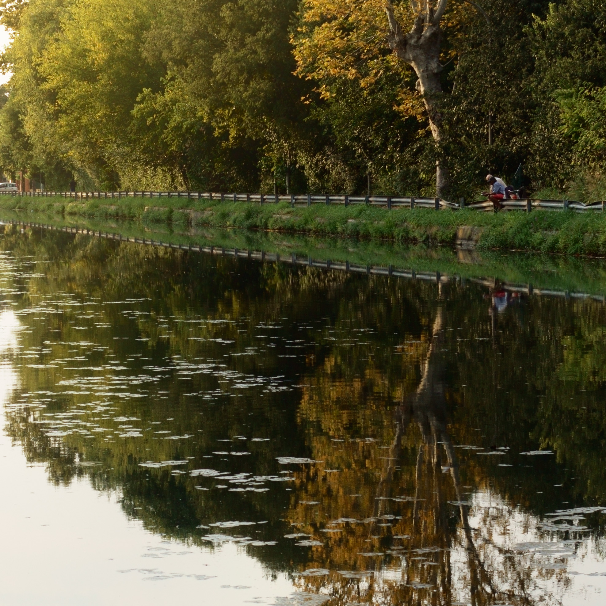 In the shadow of the last Sun 1