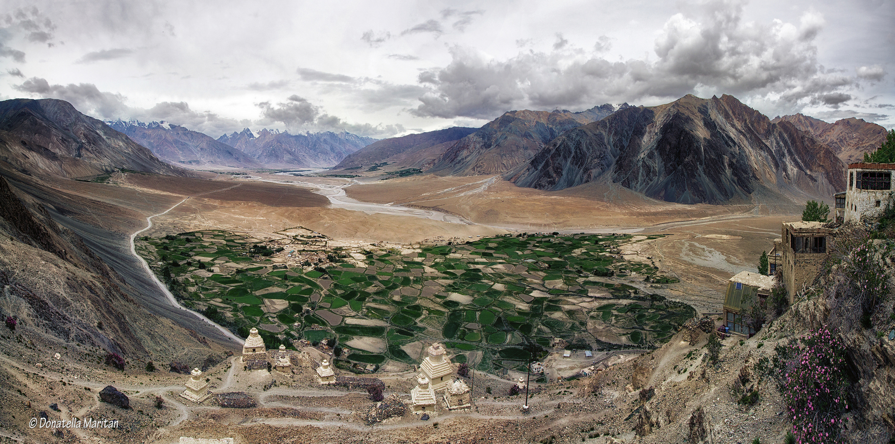 Altipiano visto dal Stongdey Gompa