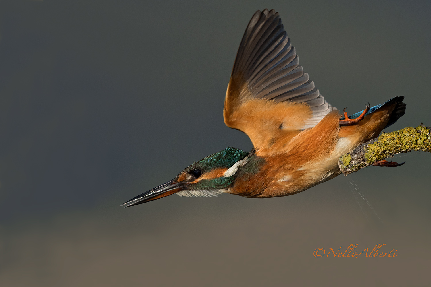 lo stacco del martino ! 2018