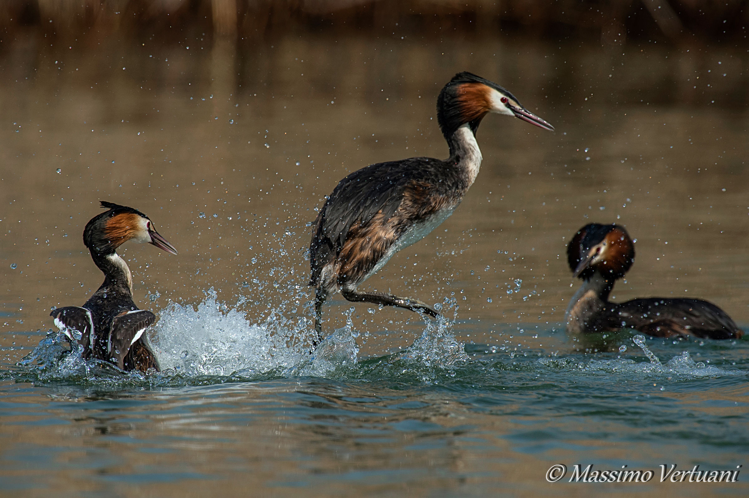Tolgo il disturbo!!!!
