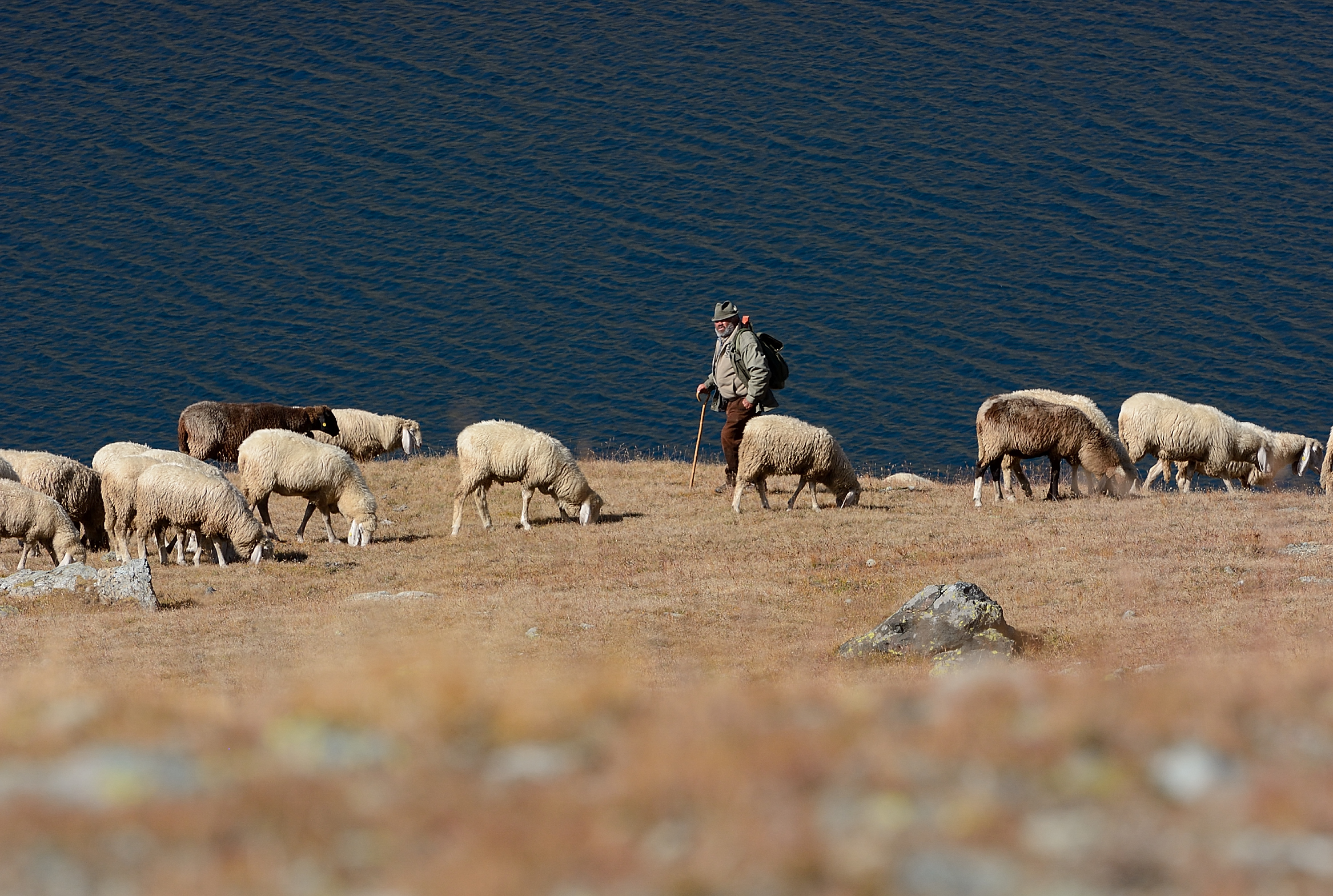 Among the last at altitude 3000..