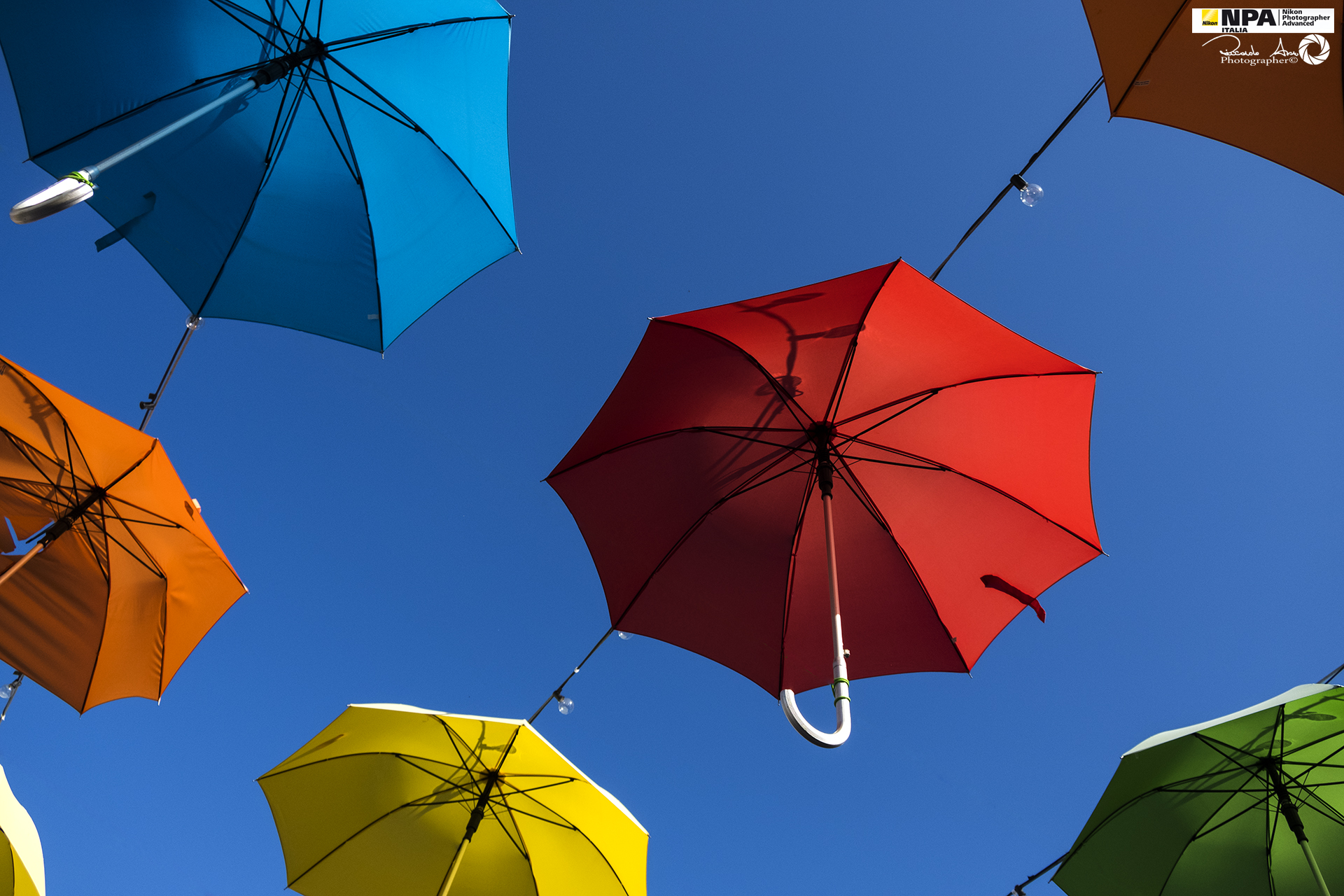 Ombrelli & Colori