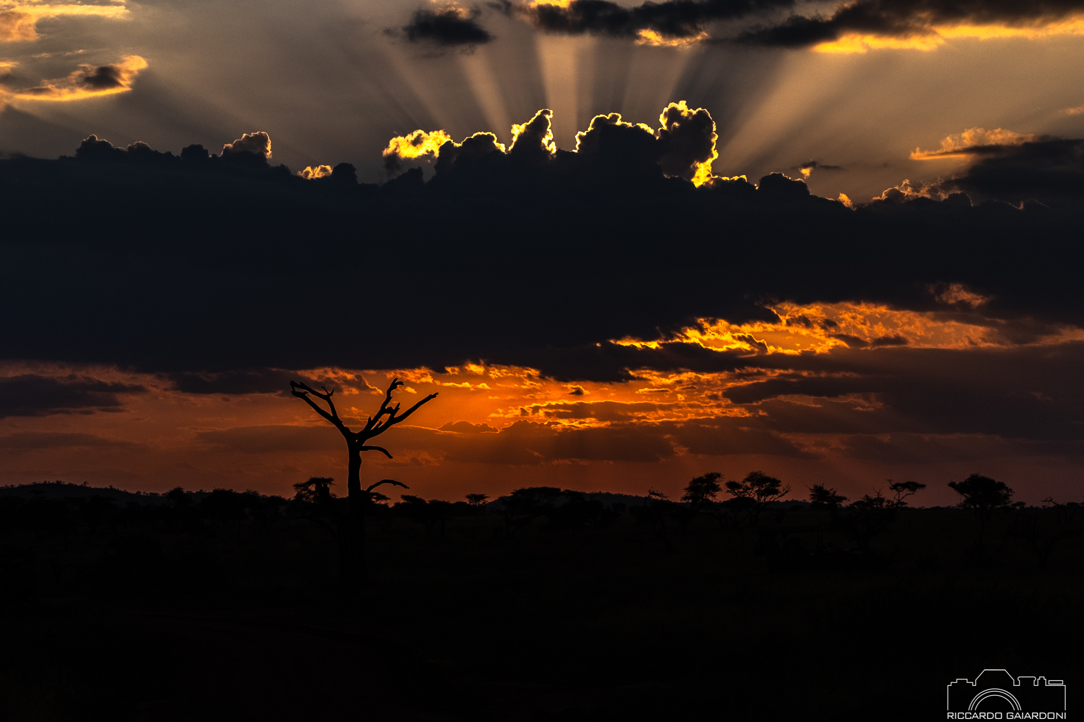 Tramonto masai mara