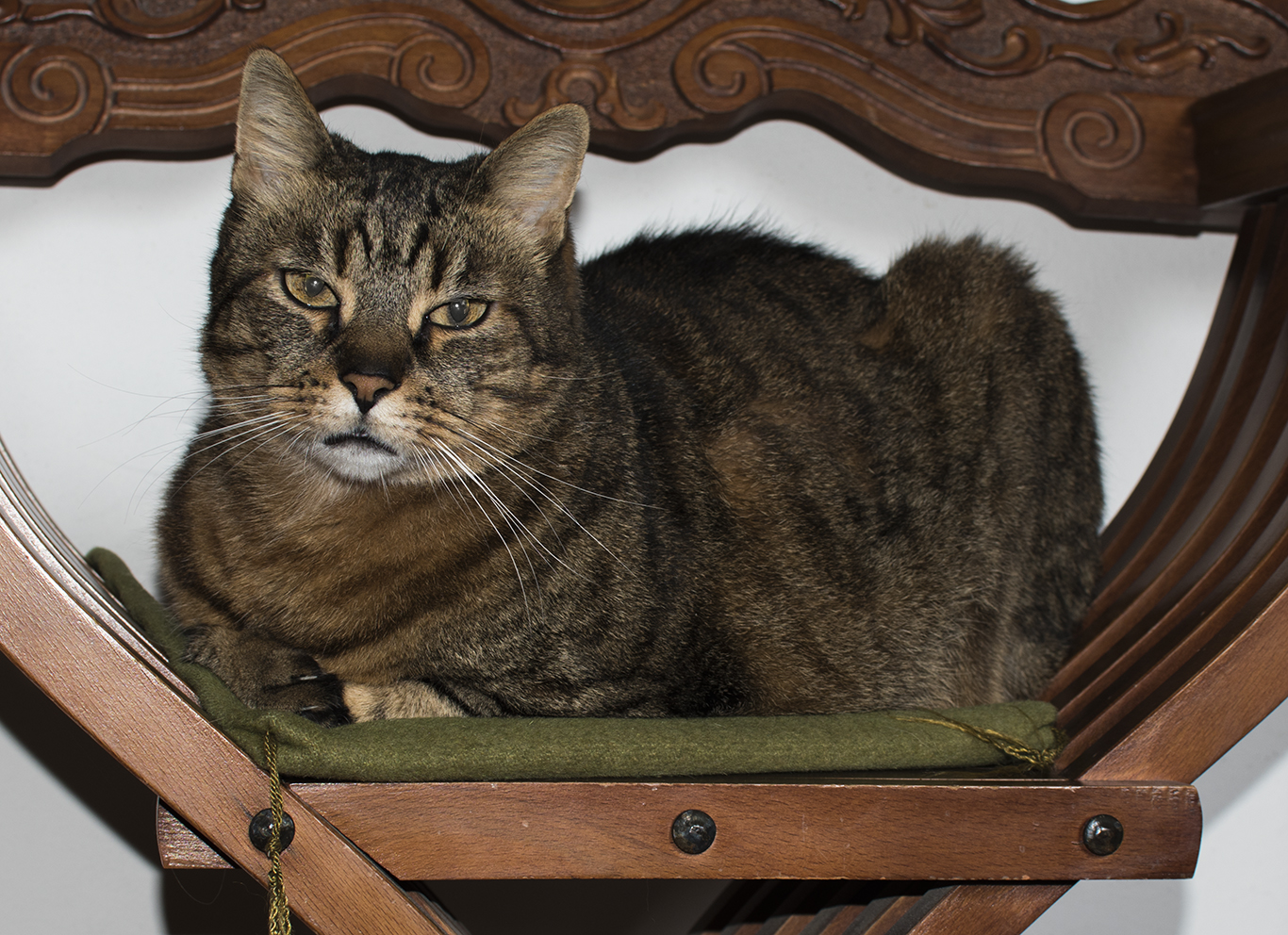 Sphinx