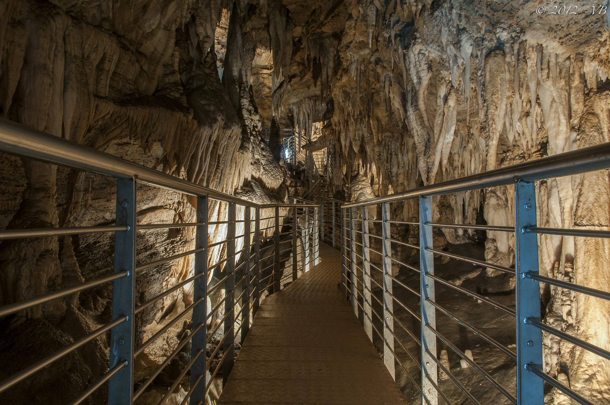 Foresta di stalattiti