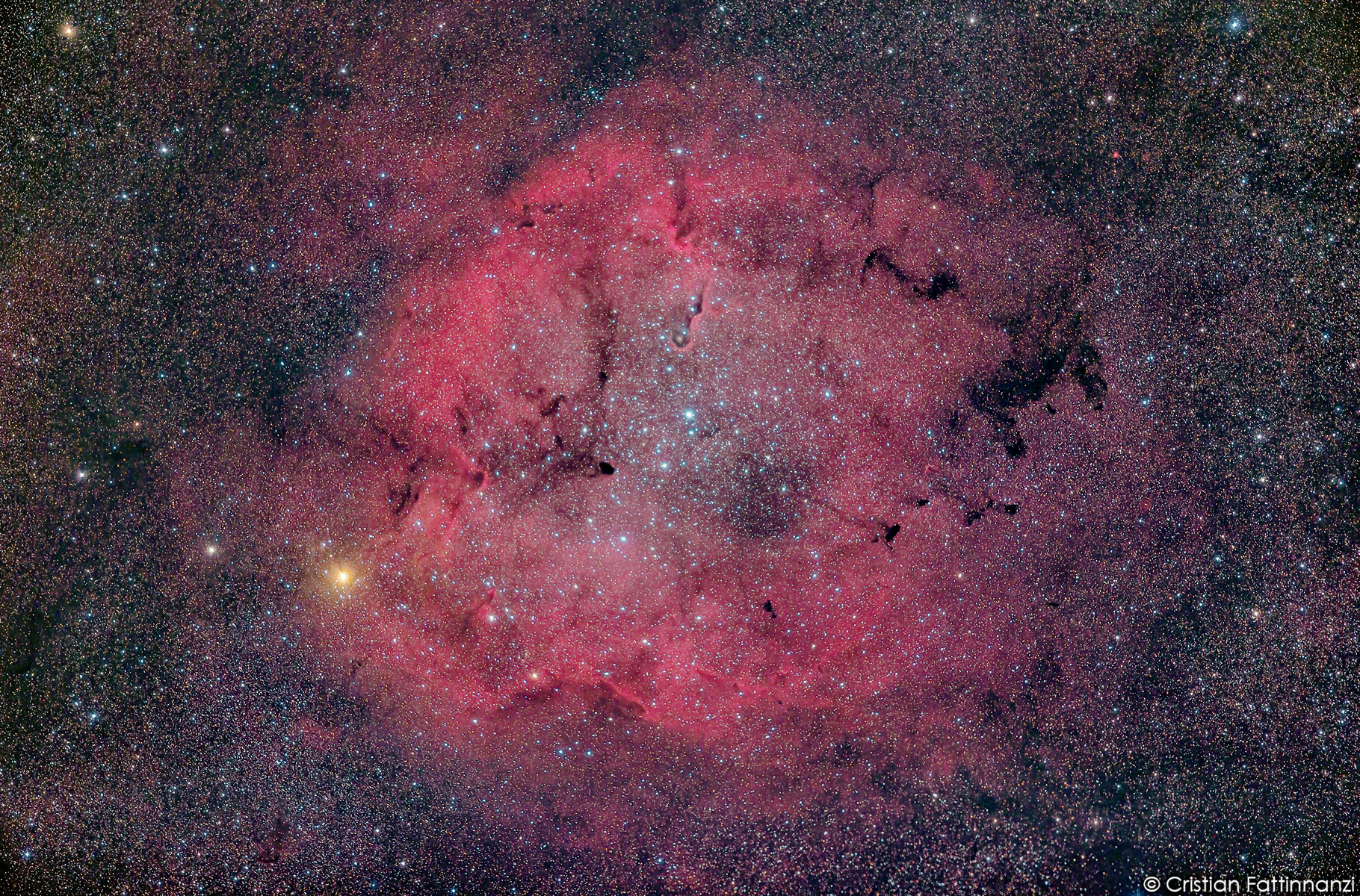 Nebulose in Cefeo (elab 2)
