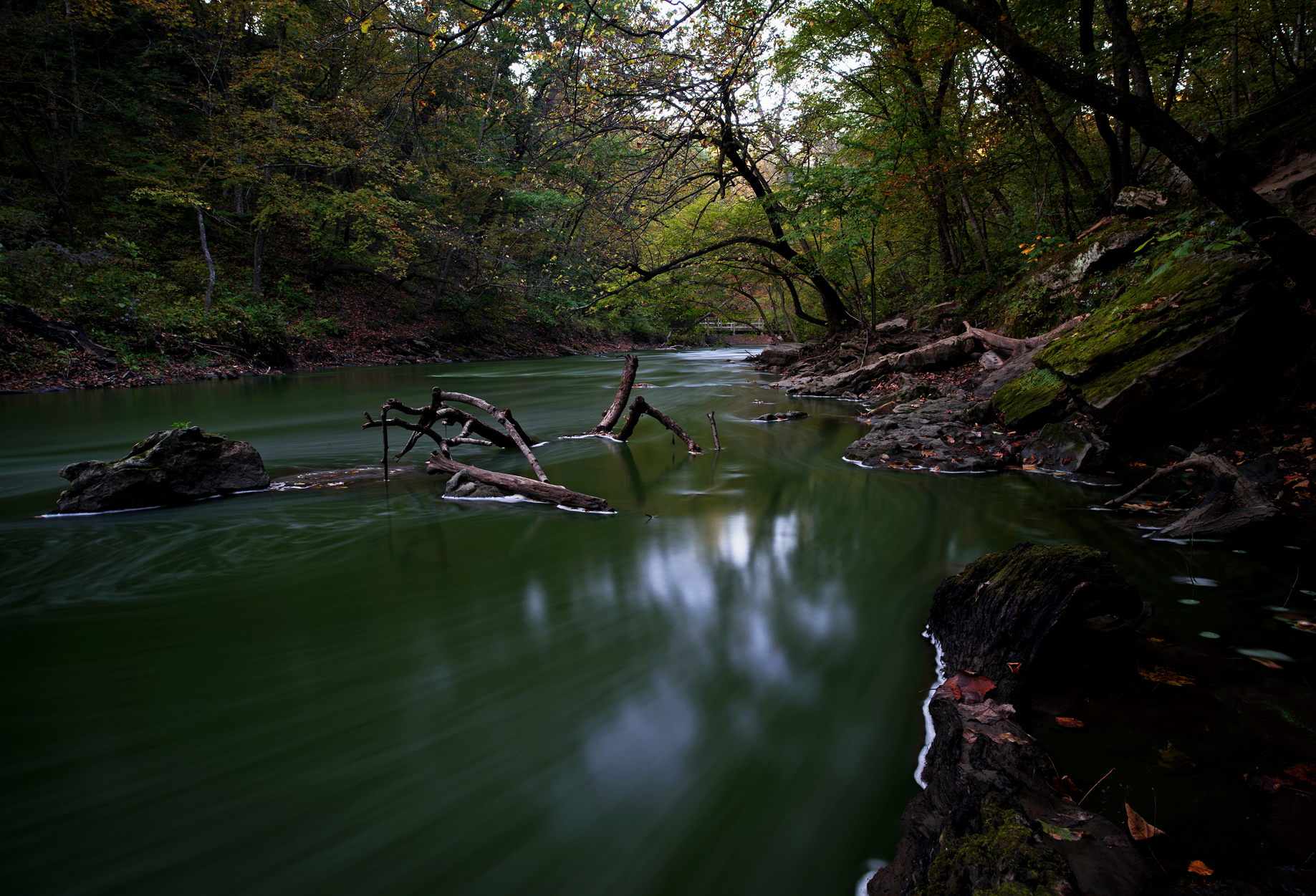 Minneopa Creek Tinted Green