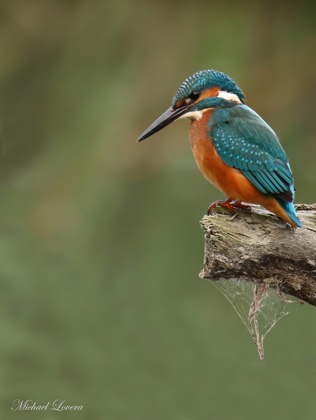 The very long wait...