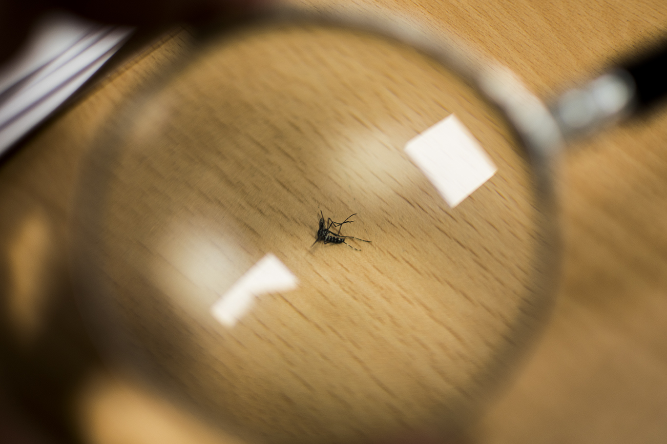 Taken and observed...