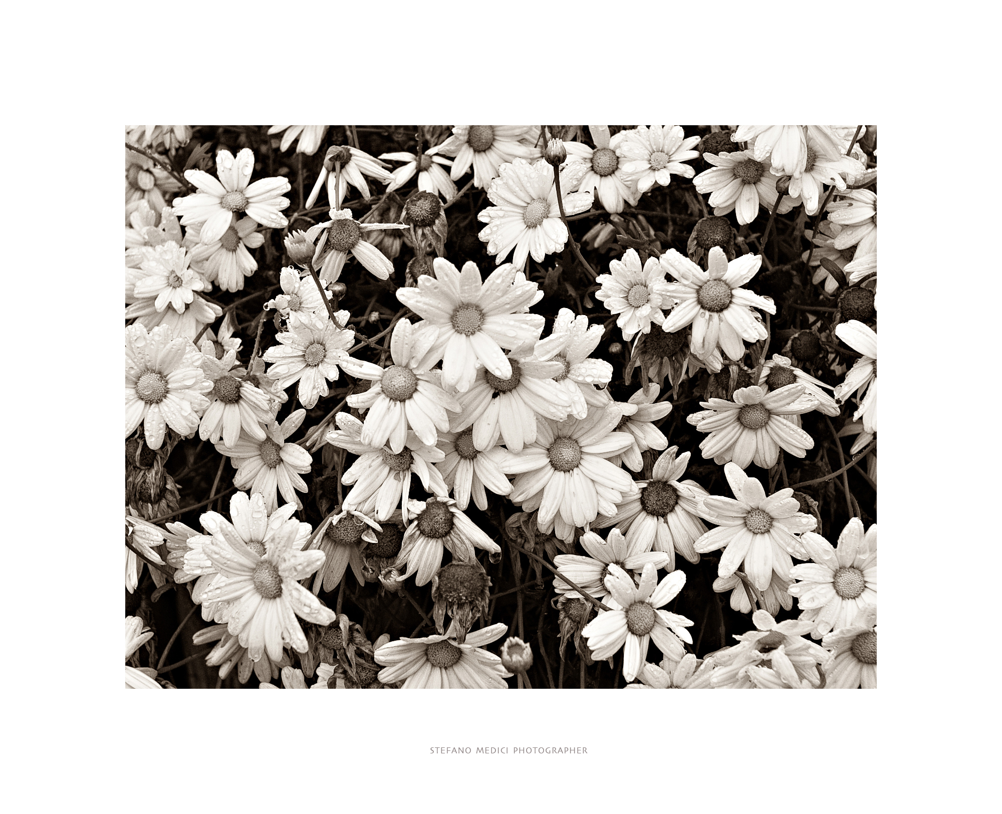 Holes after the rain