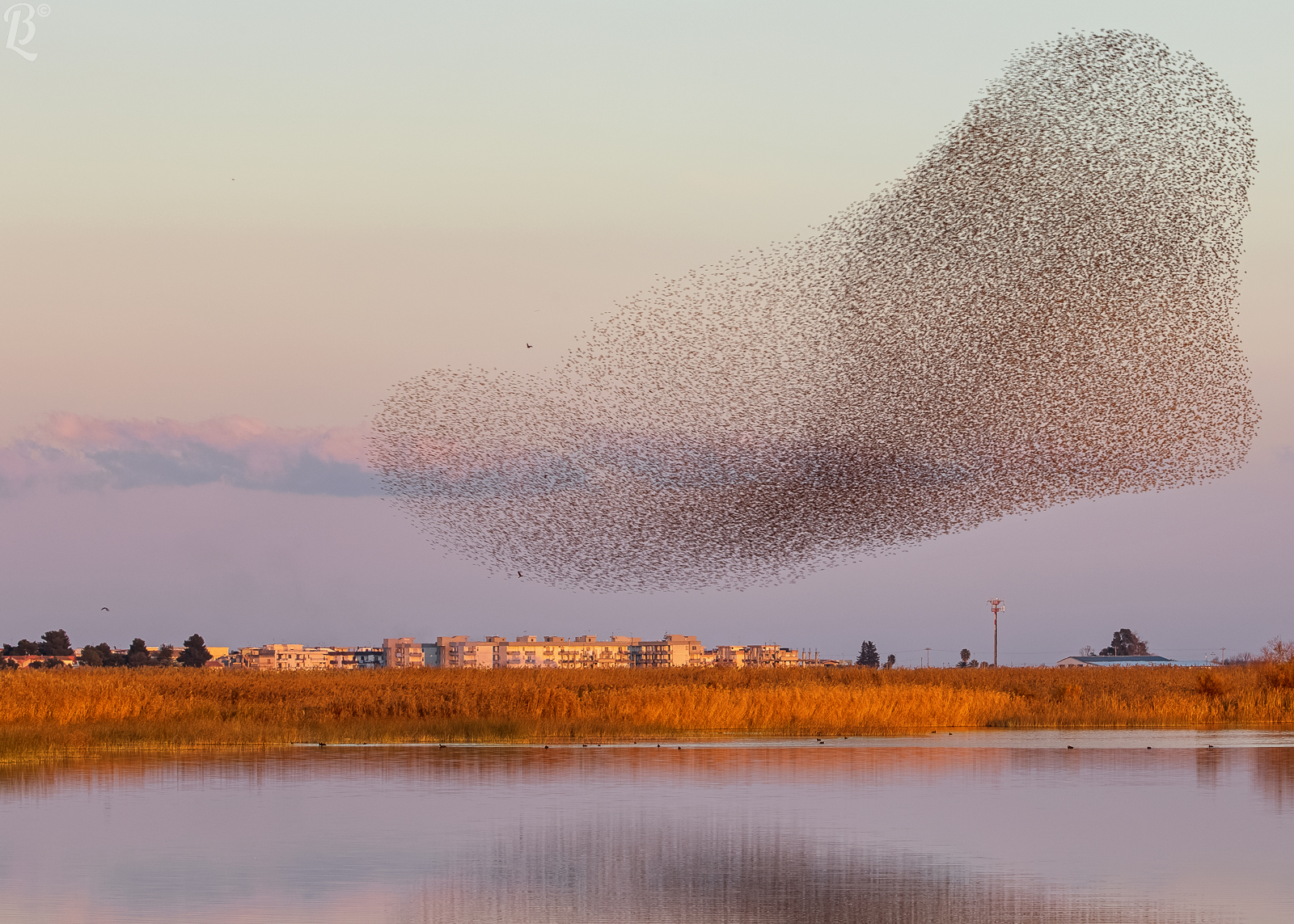 Un piede sulla città