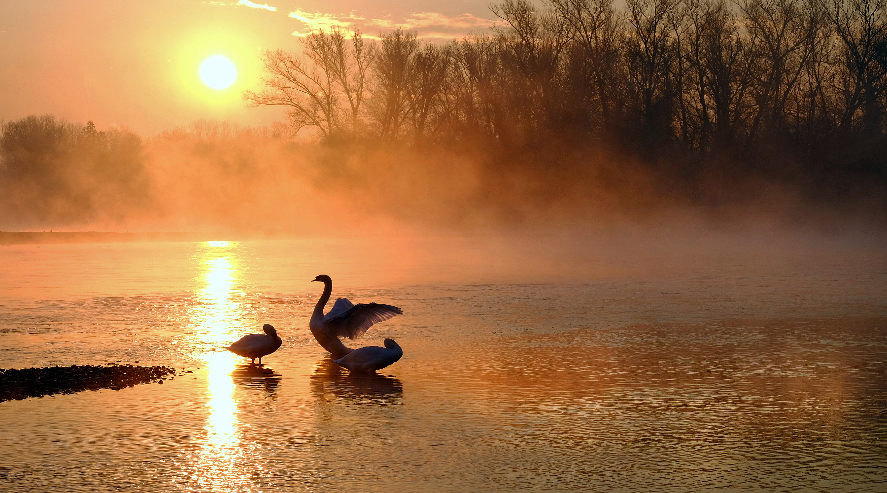 My river the wings of Freedom