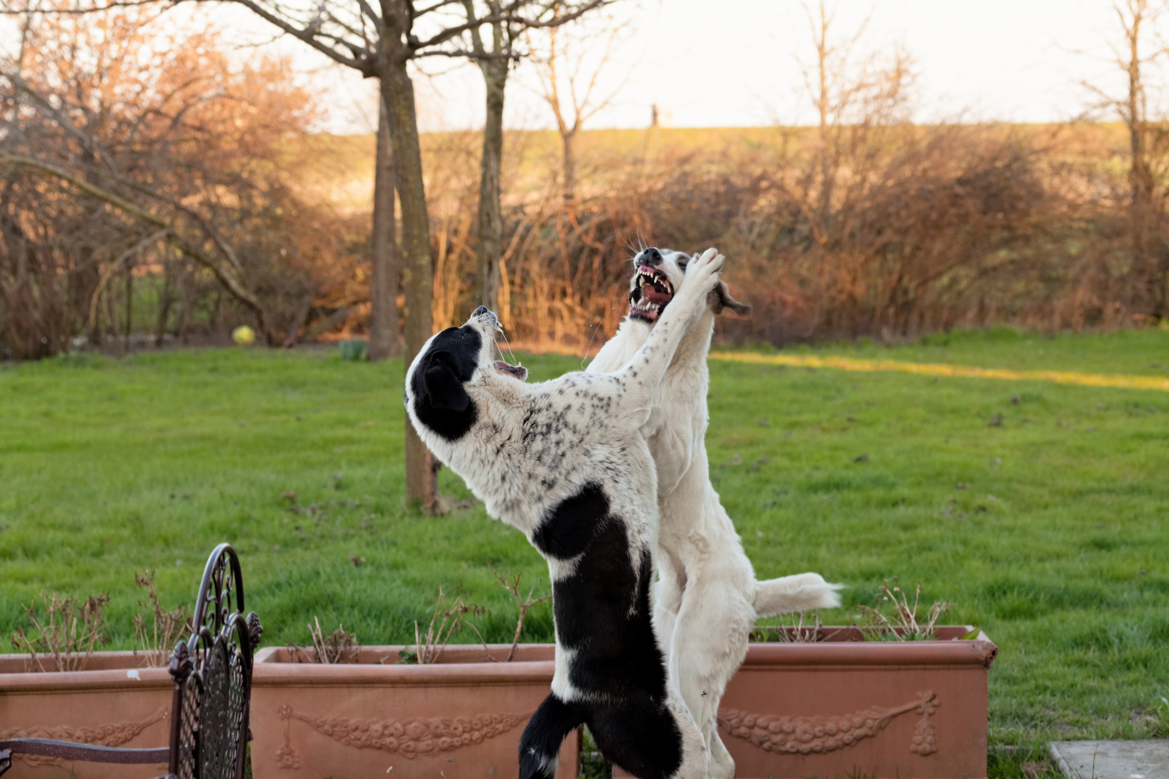 la difficile arte della convivenza