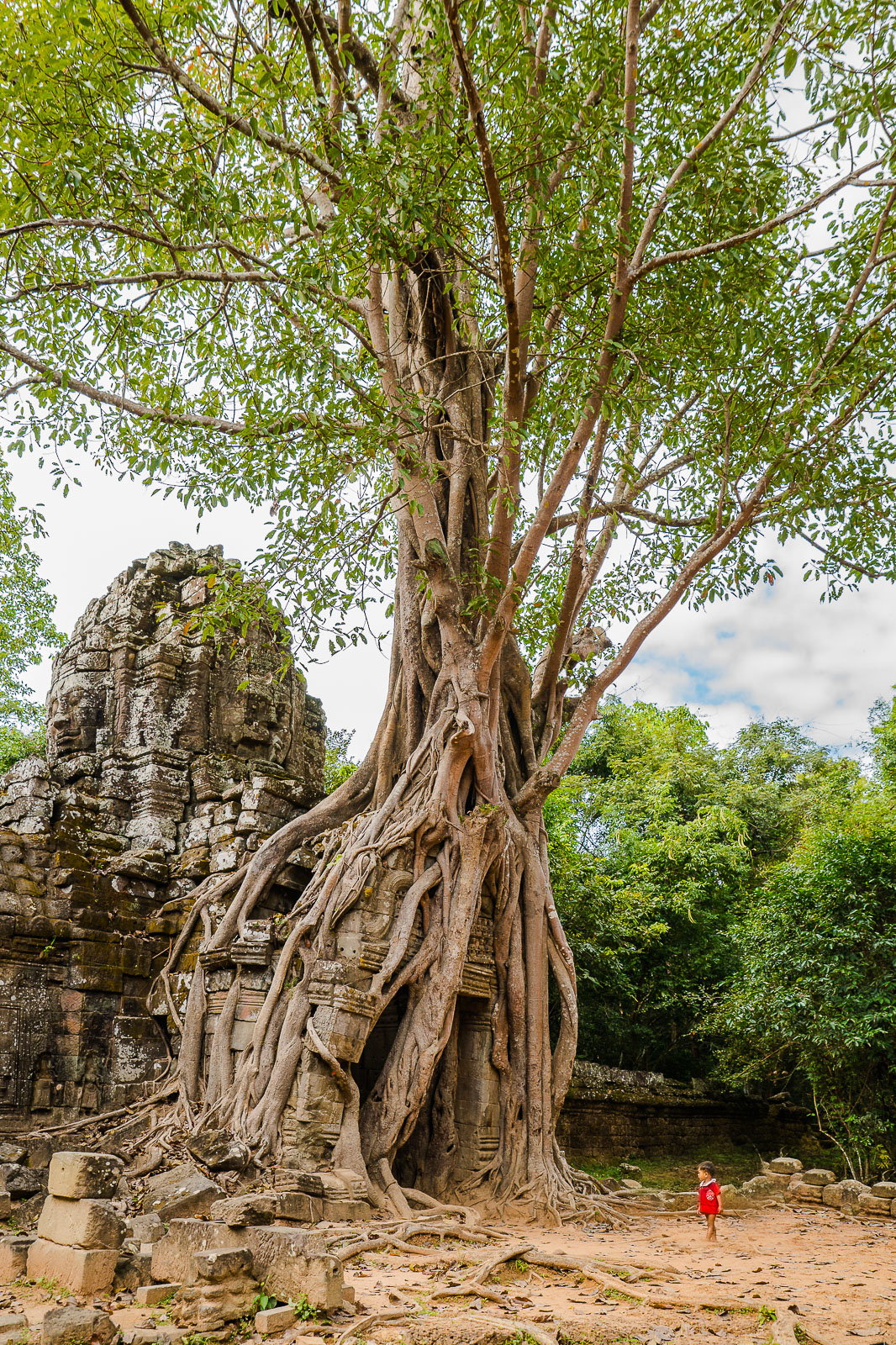 Il Gigante e il Bambino