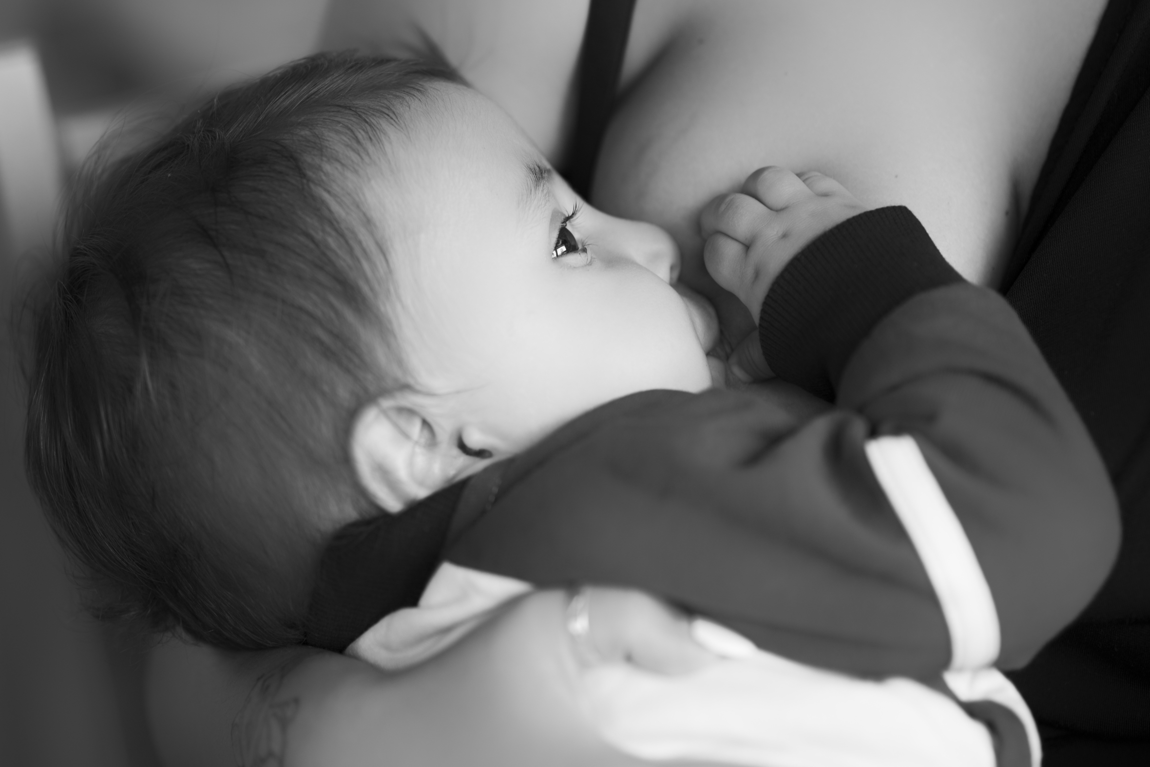 Il latte della mamma