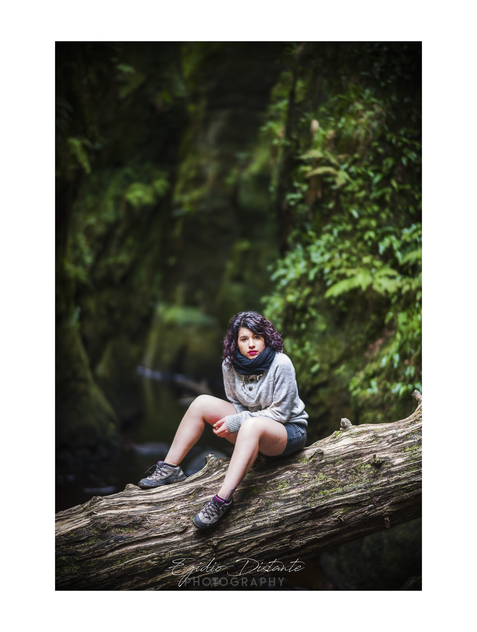 Moments from Photomodel