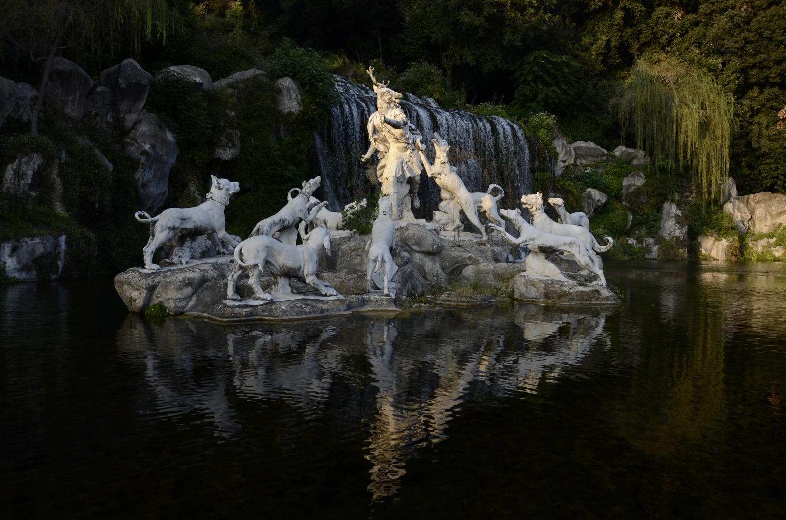 A caccia di emozioni  (ce)