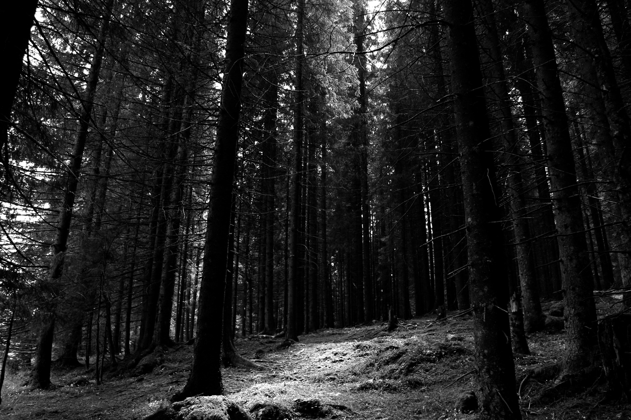 Untitled Photo