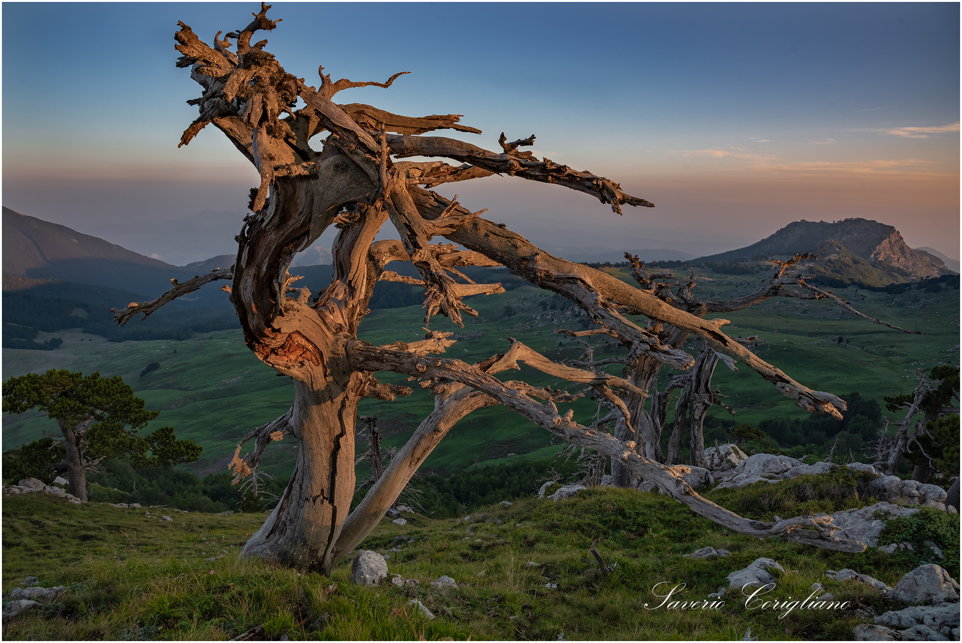 parco nazionale del pollino,
