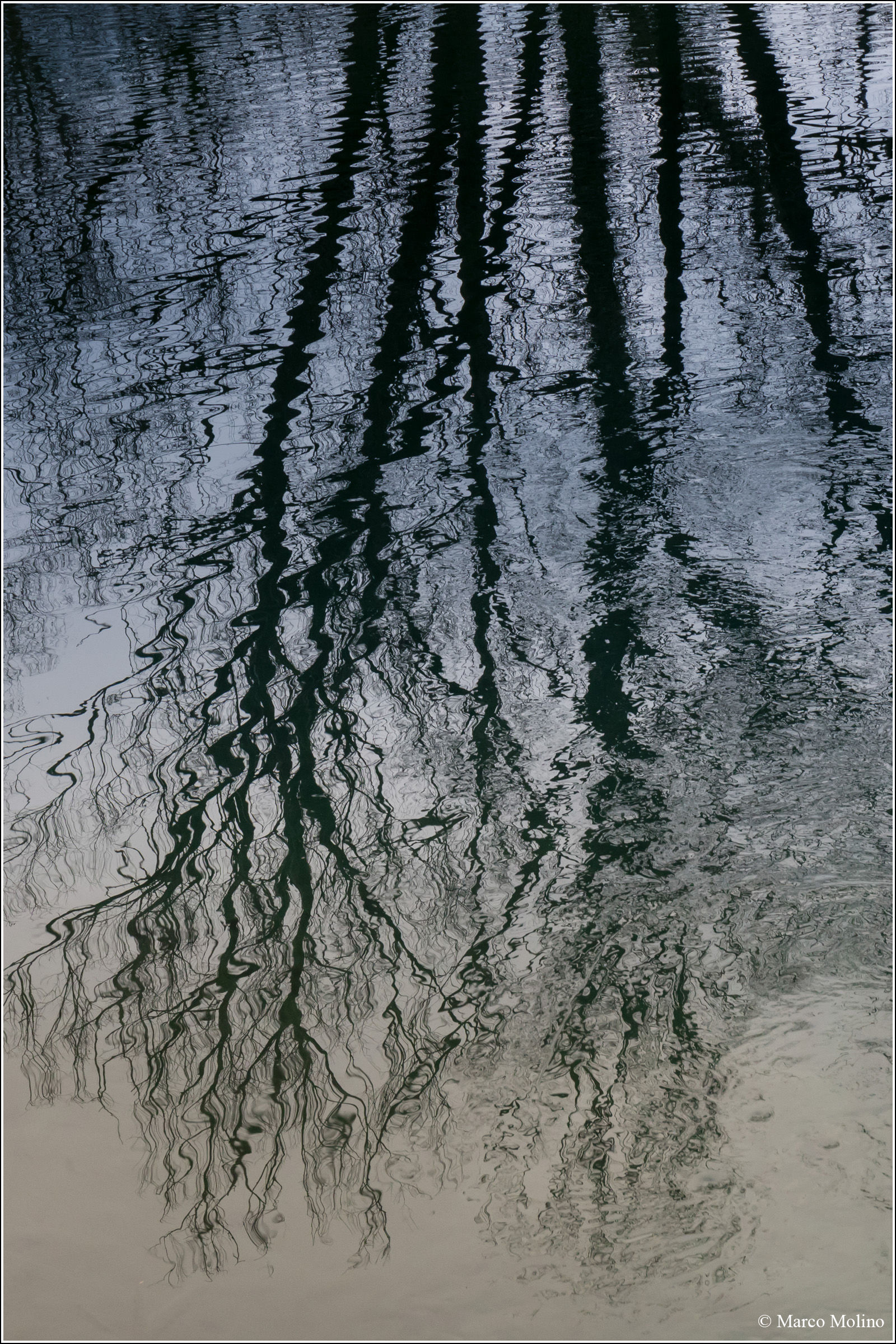 Tribute to M.C. Escher