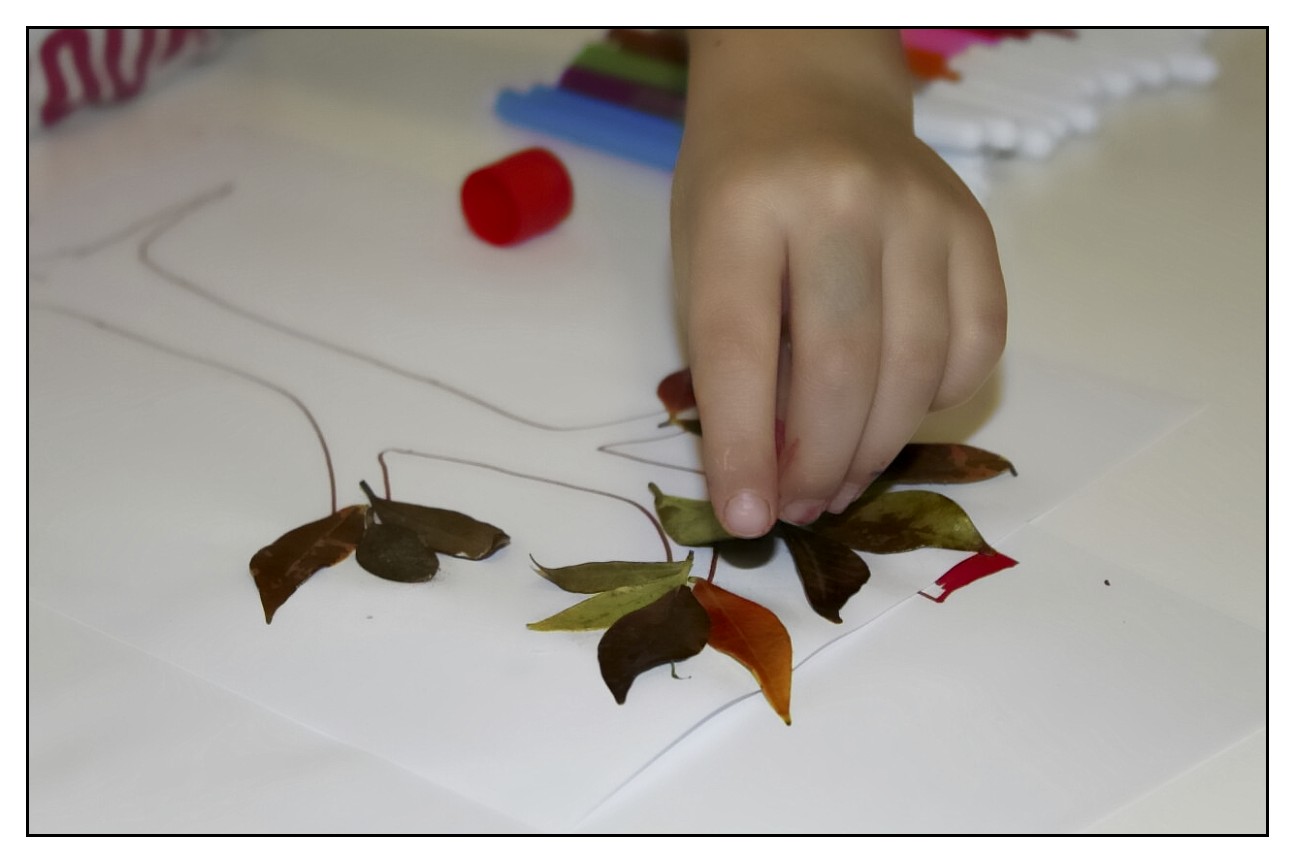 Ci sono alberi a cui in autunno le foglie crescono