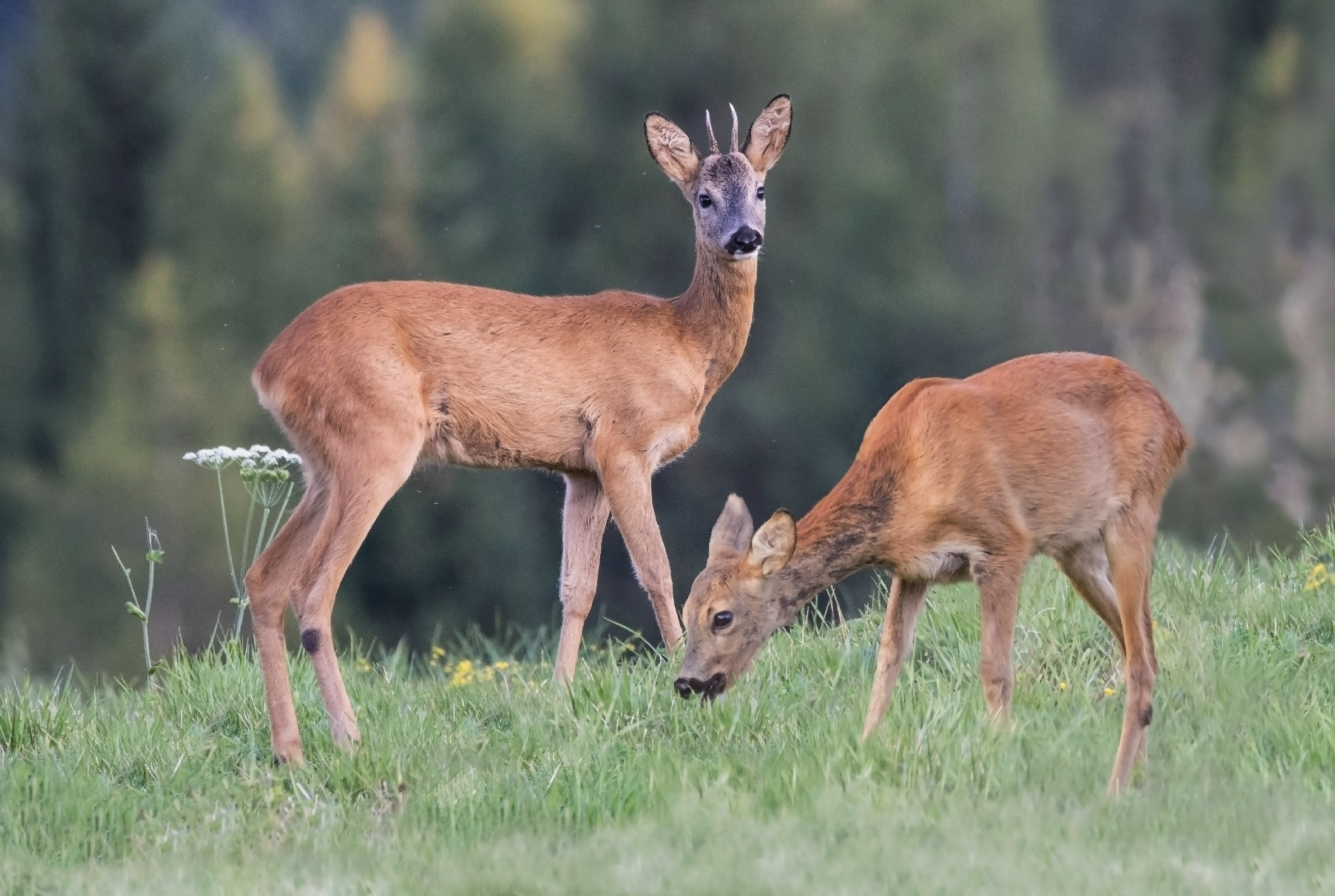 Verso una nuova vita