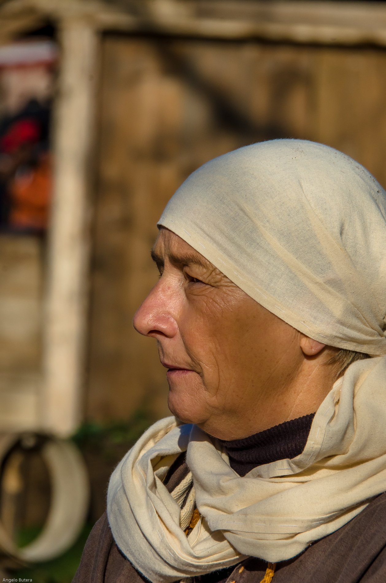 Antica Fiera di S.Lucia