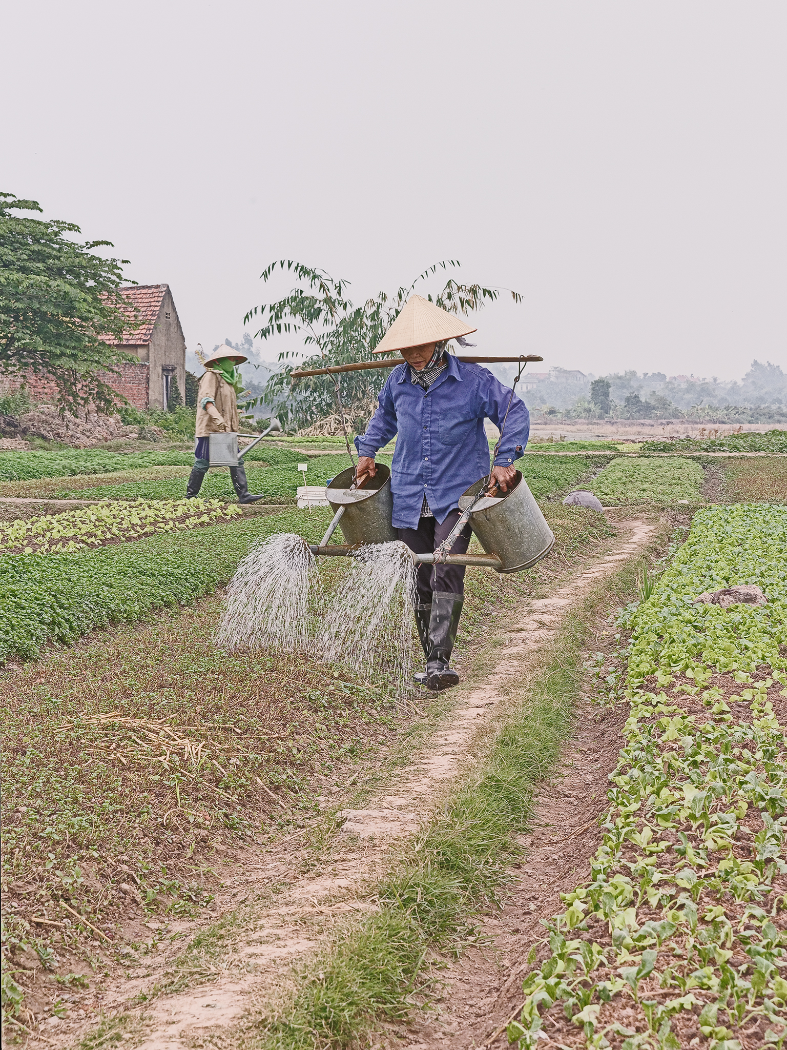 Irrigazione a bilanciere