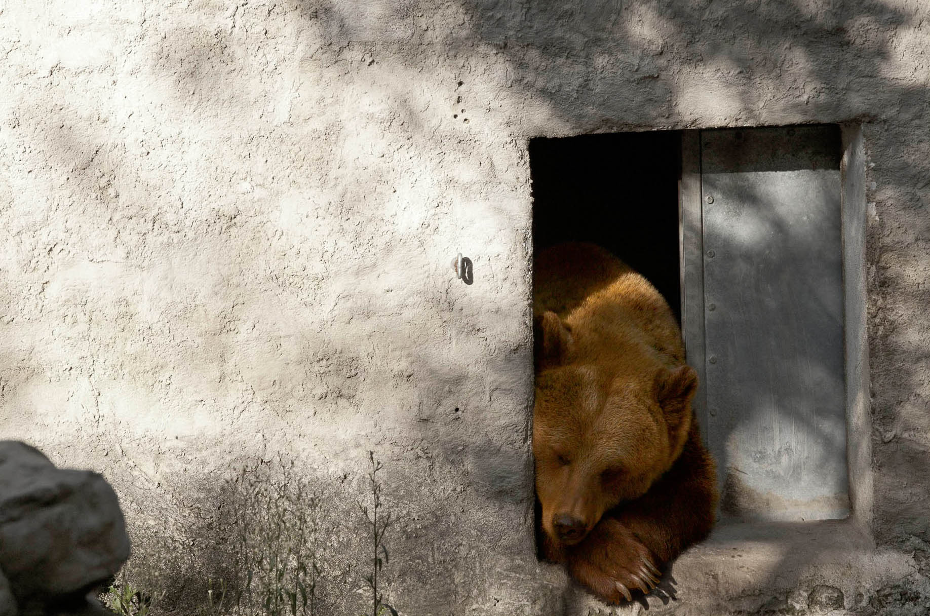 SadDay lazy sunday...