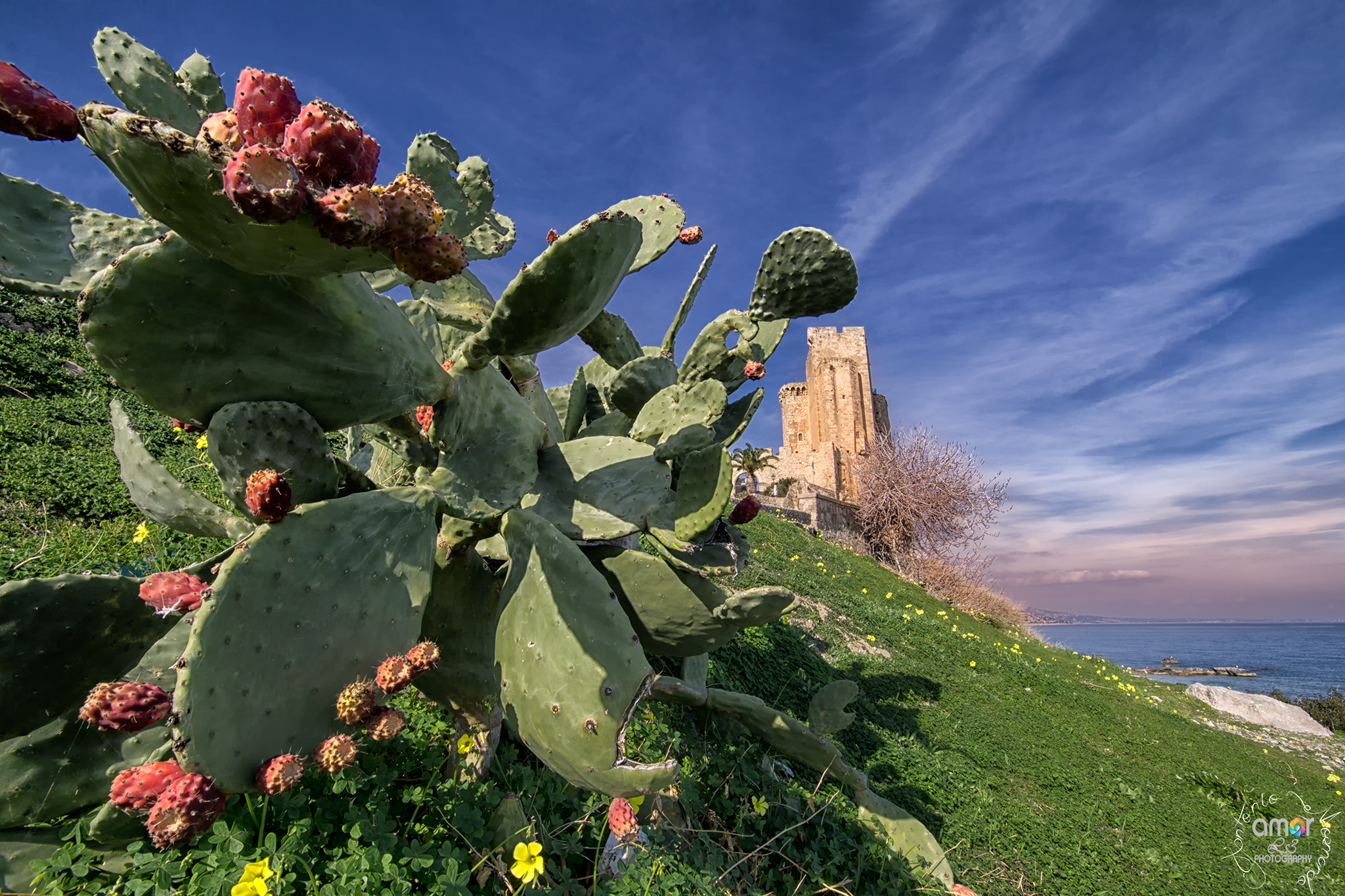 Fichi d'india e il Castello