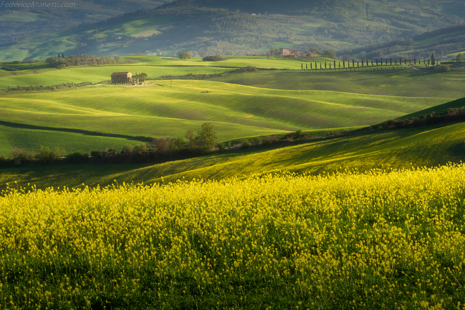 Tuscany Spring
