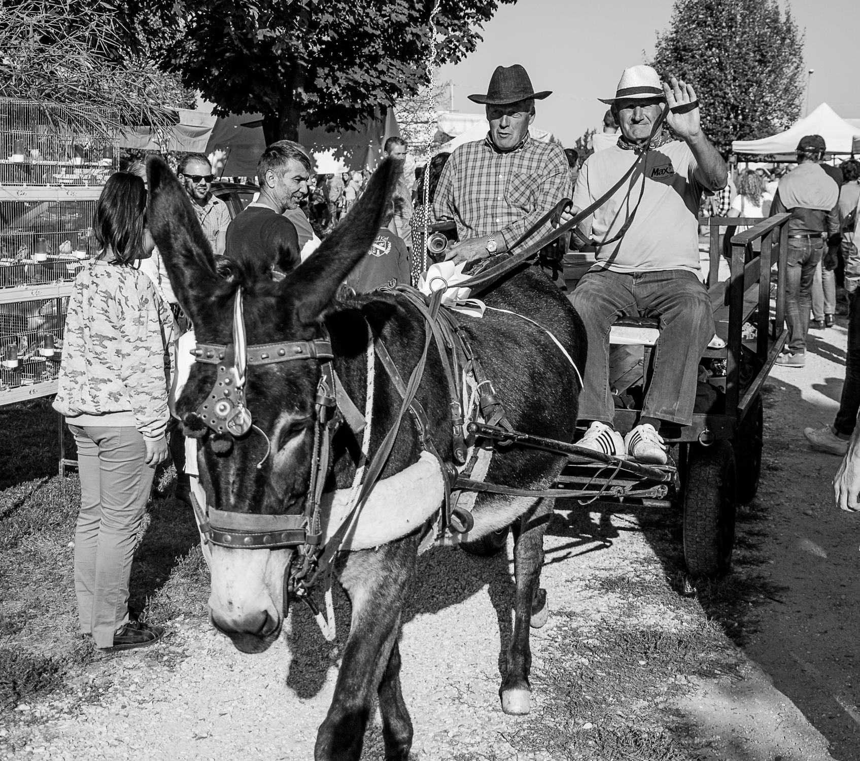 Nature in Festa 2018