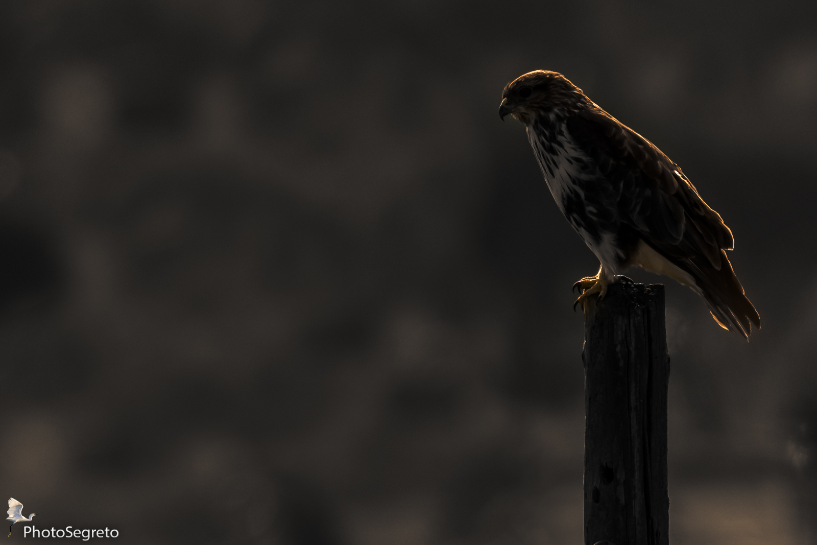 Era di primo mattino.....