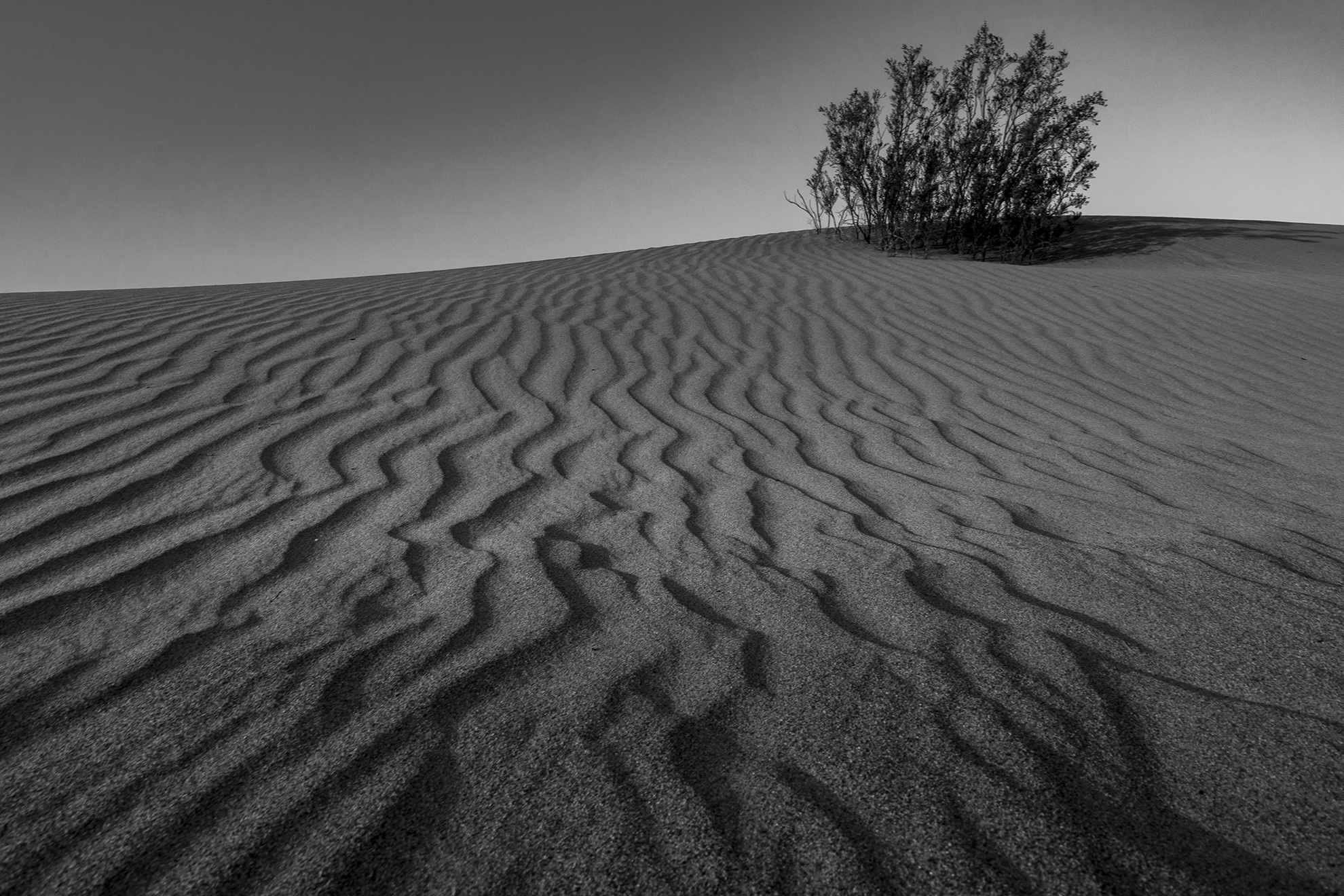 Death Valley Black & White