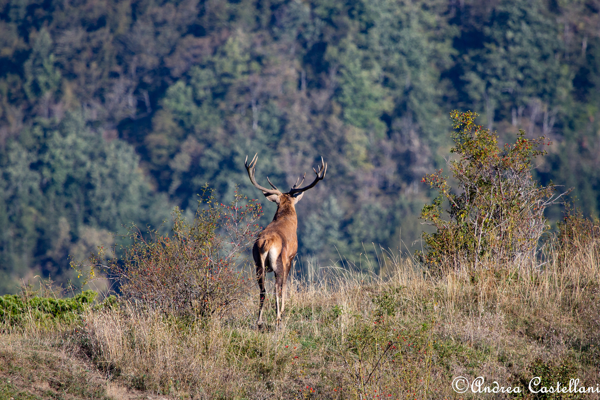 I'm in charge here!!!!!!