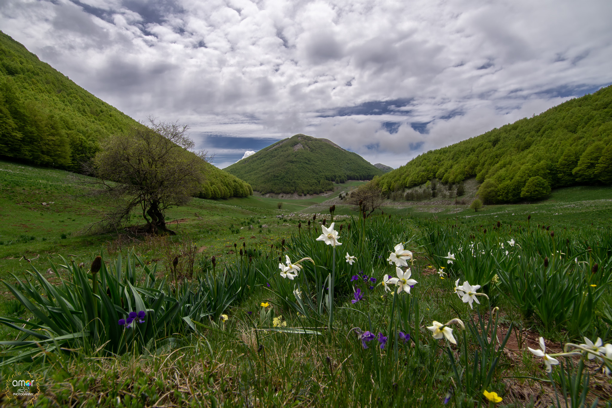 Ruggio Floor, Pollino's chain
