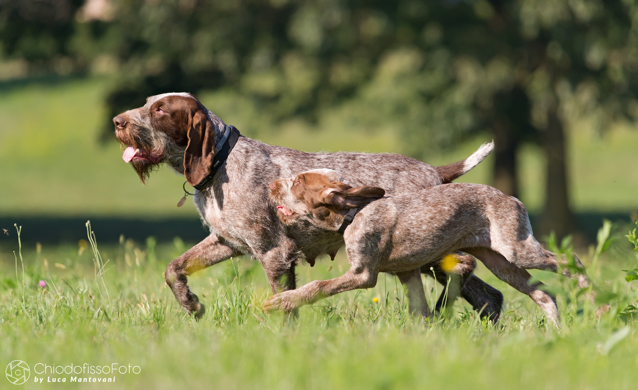 Mamma, mamma raccontami.......