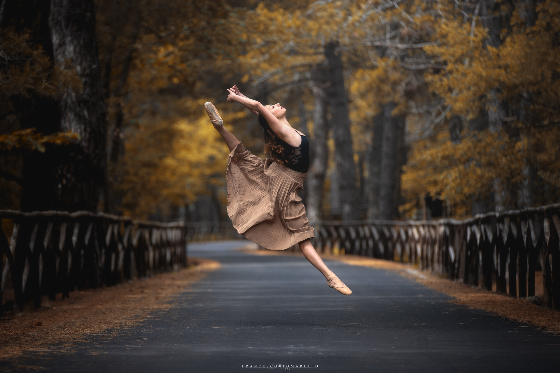 To dance in the woods