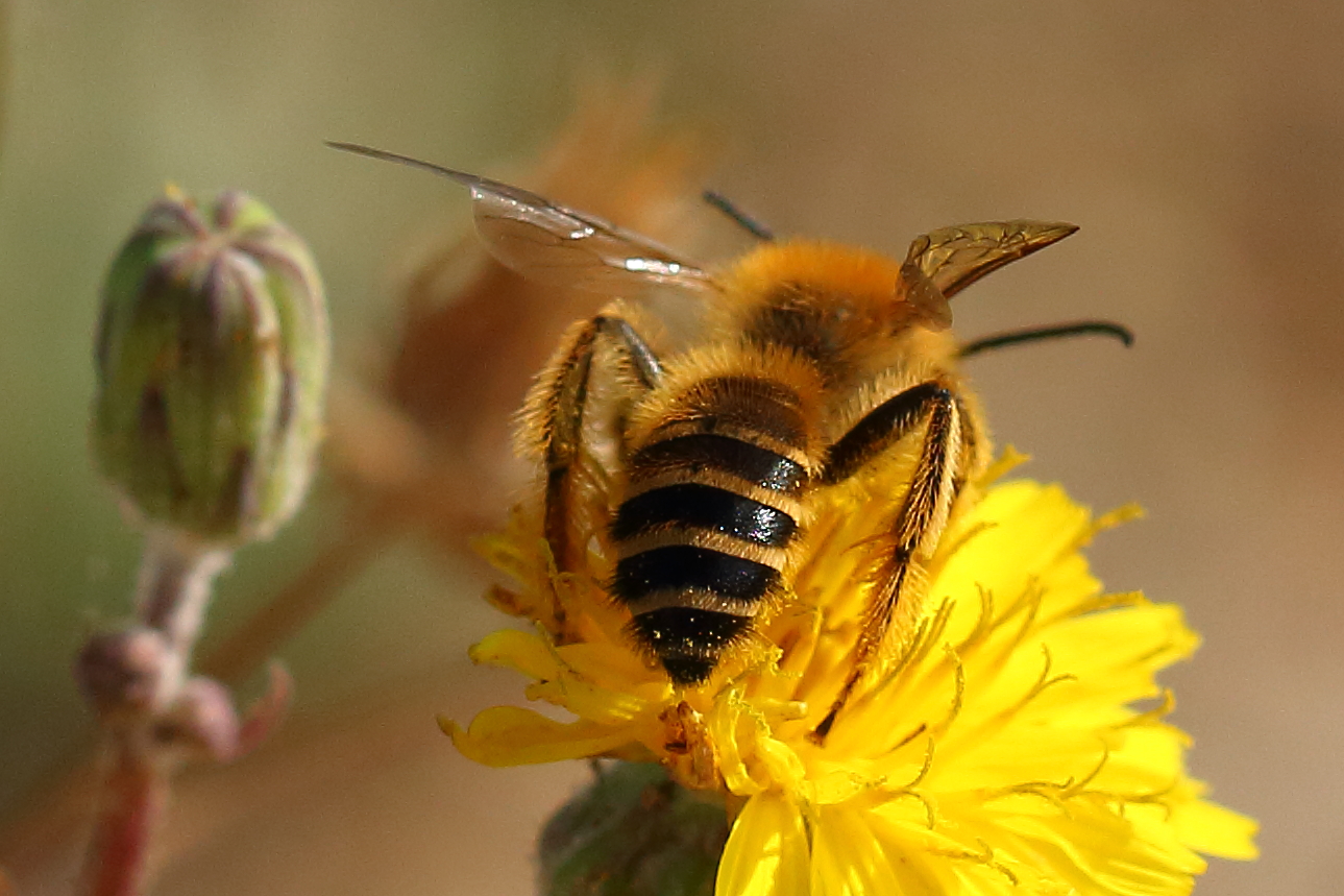 Beata e tranquilla crogiolandosi al sole