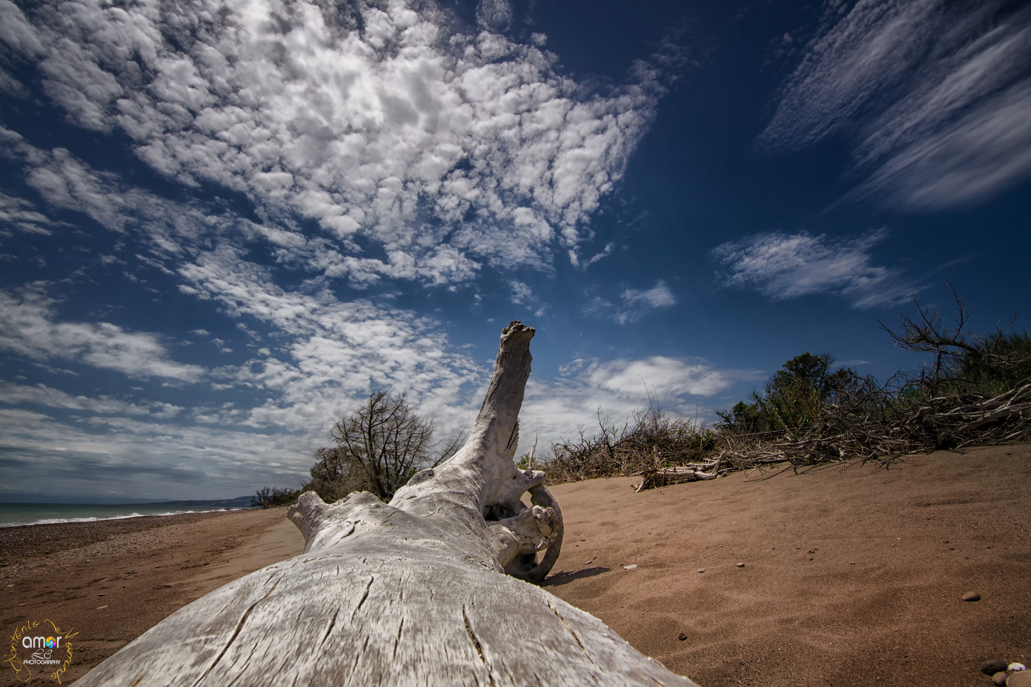 A trunk points the way