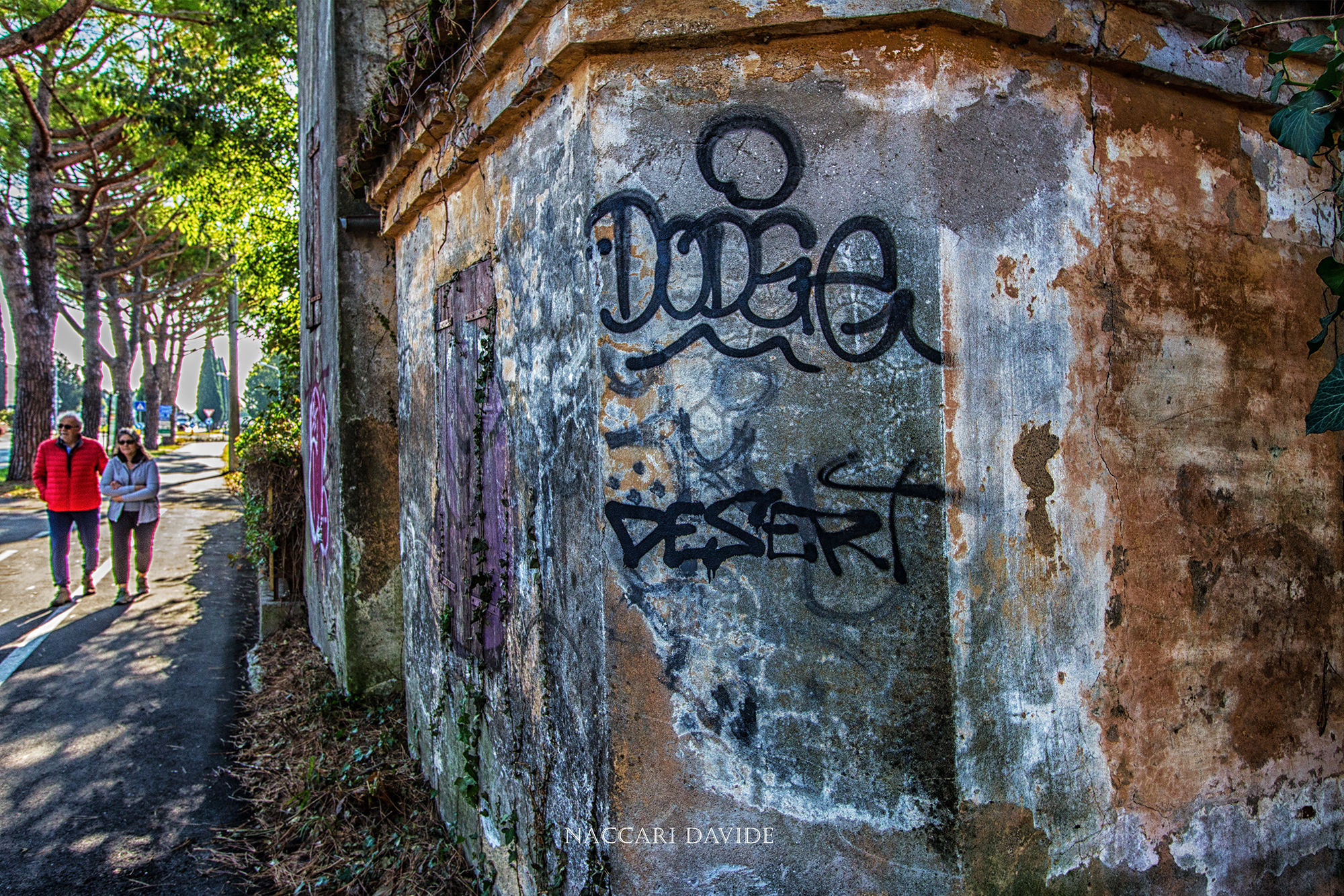 2 Souls in the desert