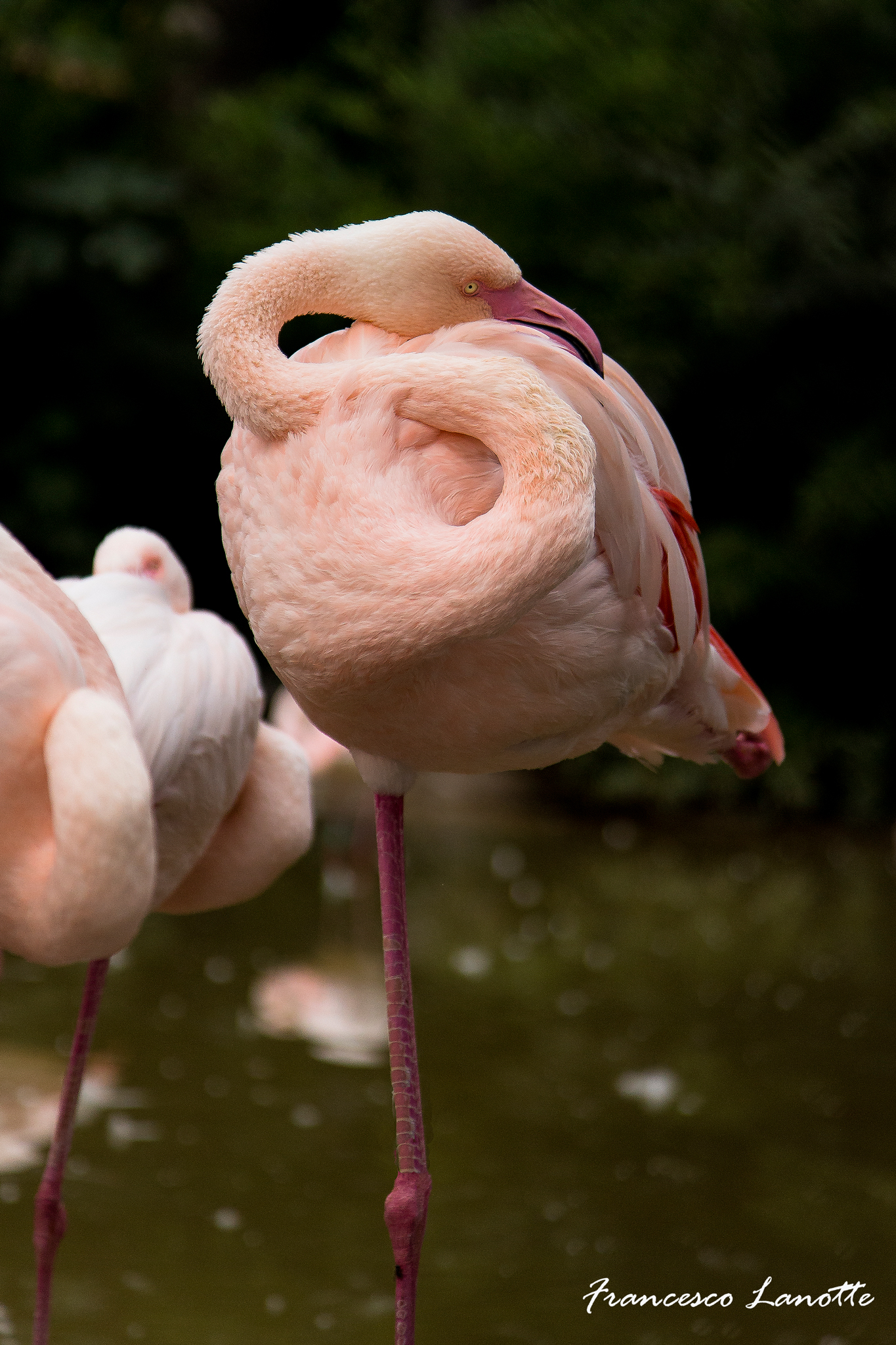In effetti si, sono proprio un tipo "in gamba"