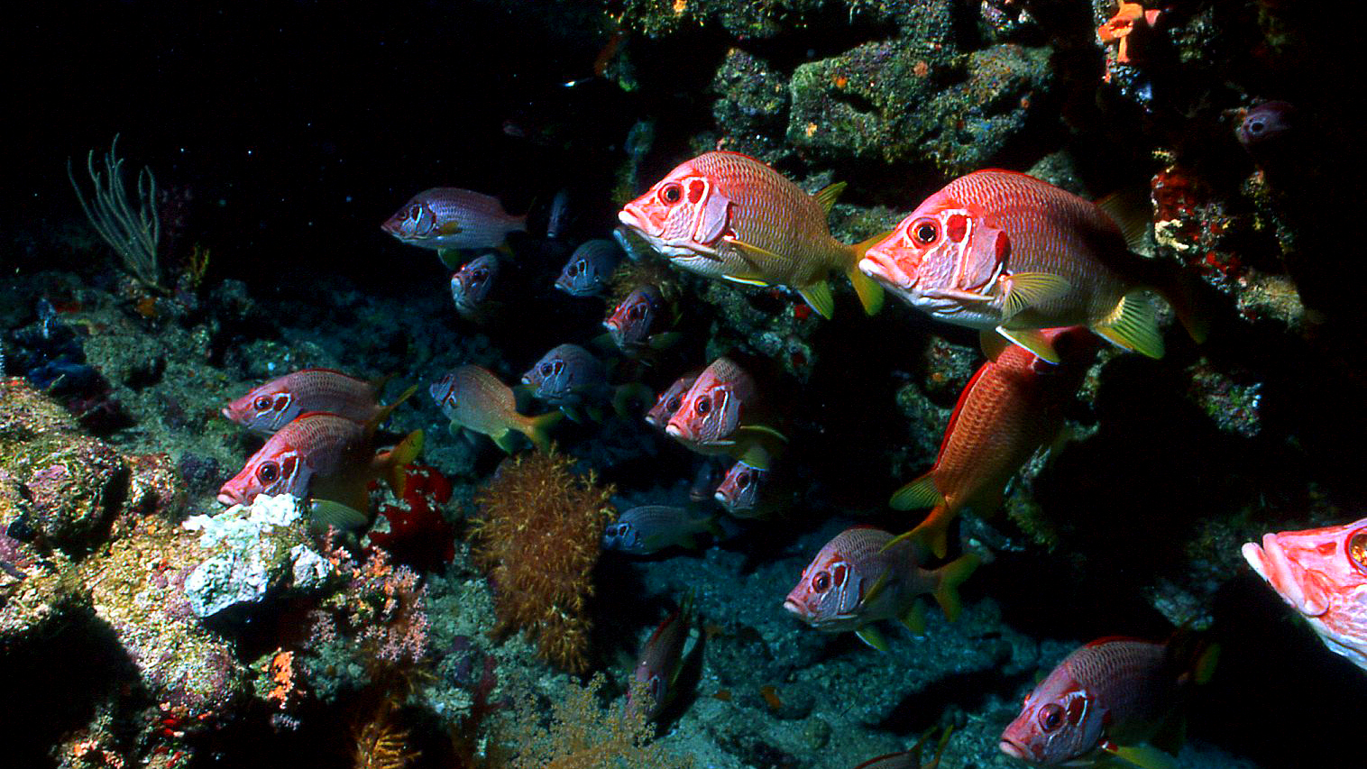 Insieme per superare la notte (imm. notturna)