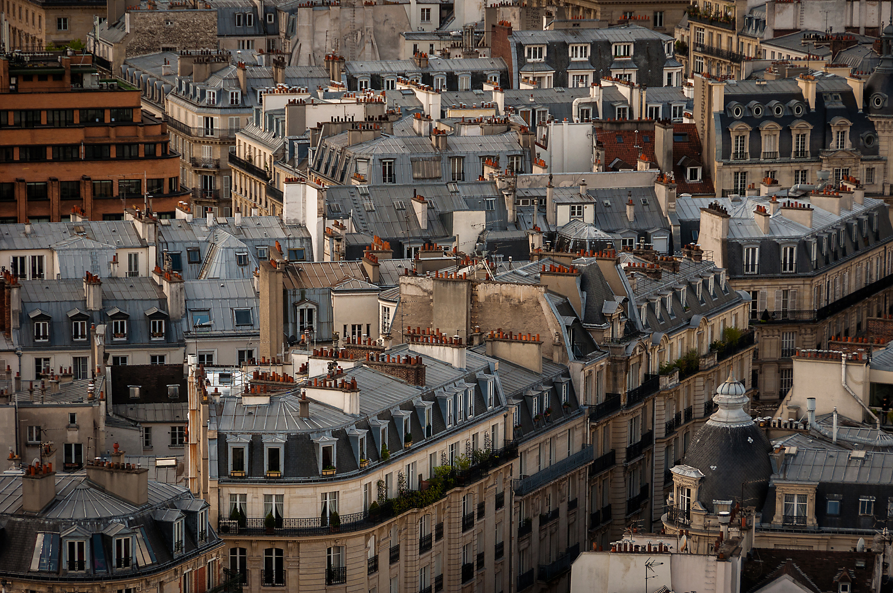 Parisian roofs