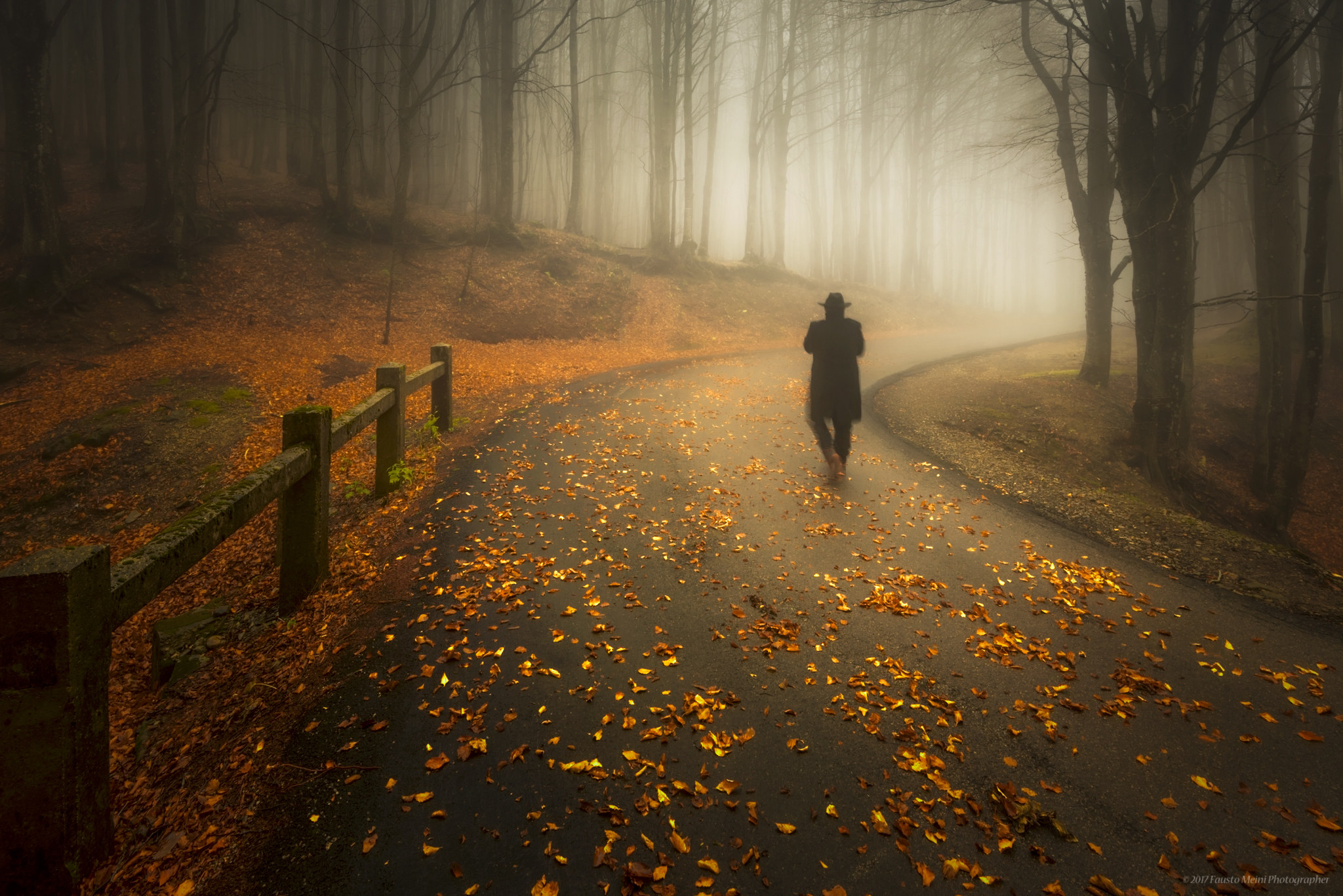 E tu chi sei...che sempre vai? (Cit G.Pascoli)