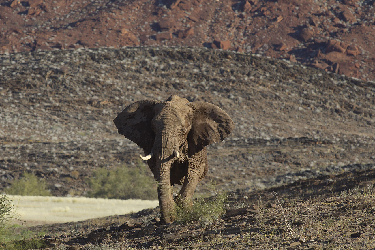 In cammino verso la pozza