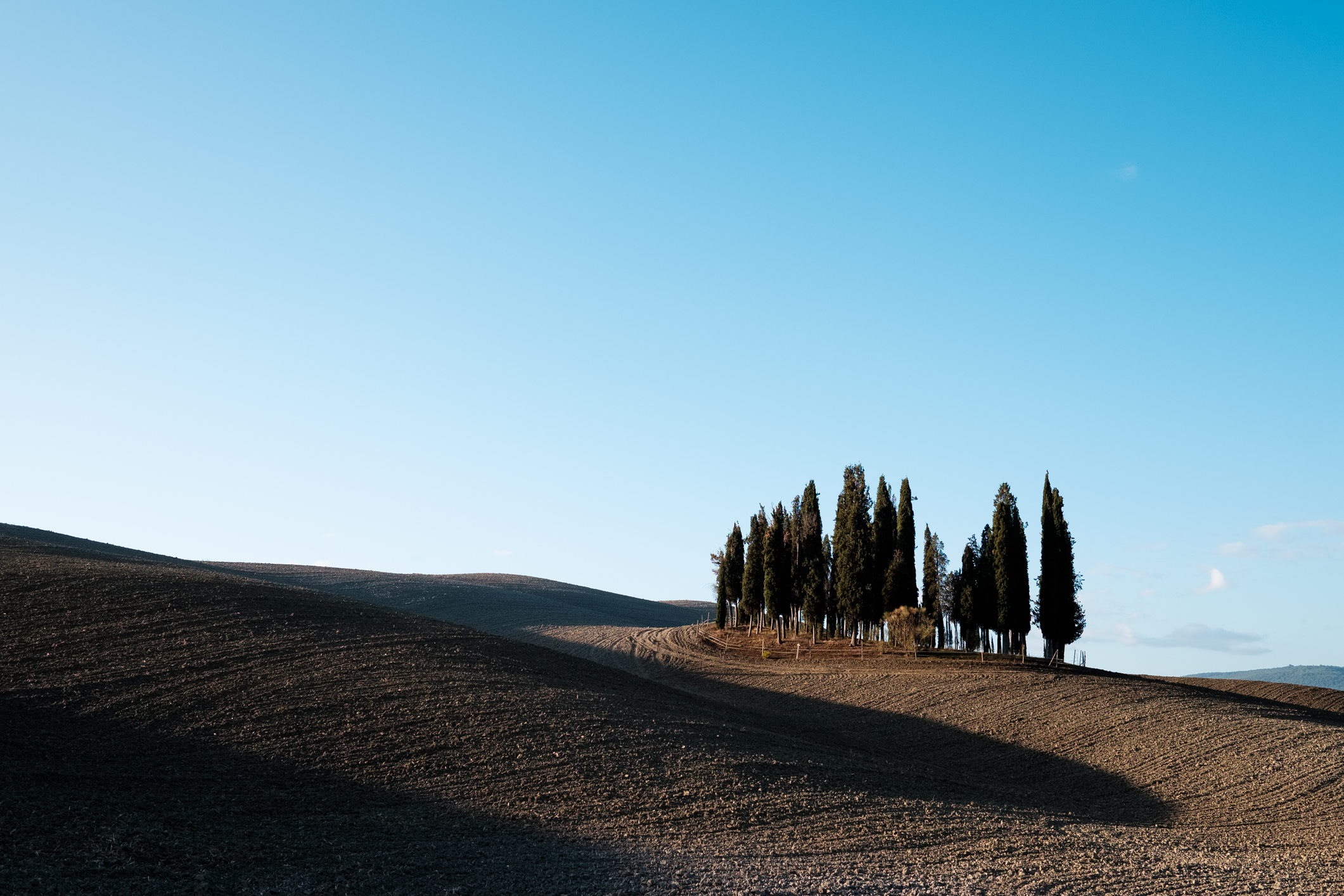 Cipressi di San Quirico